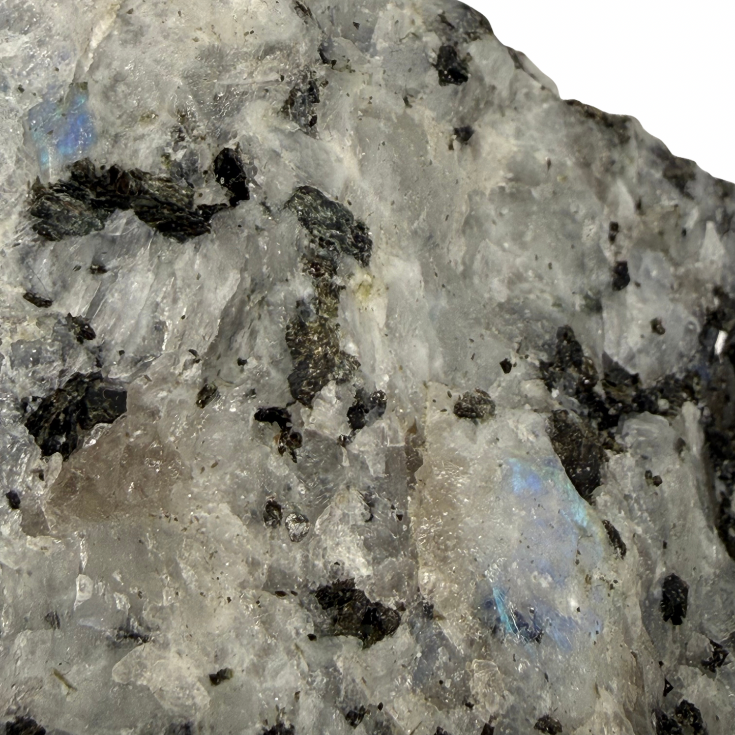 Raw Rainbow Moonstone