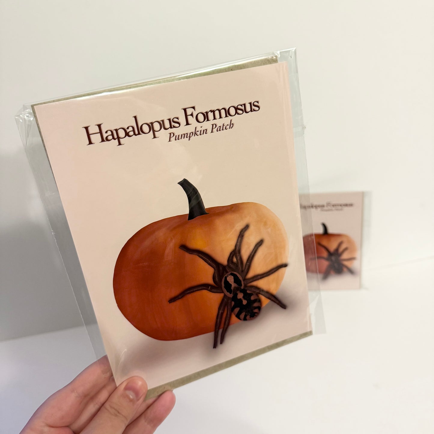 Hapalopus Formosus - Pumpkin Patch Tarantula Art Print