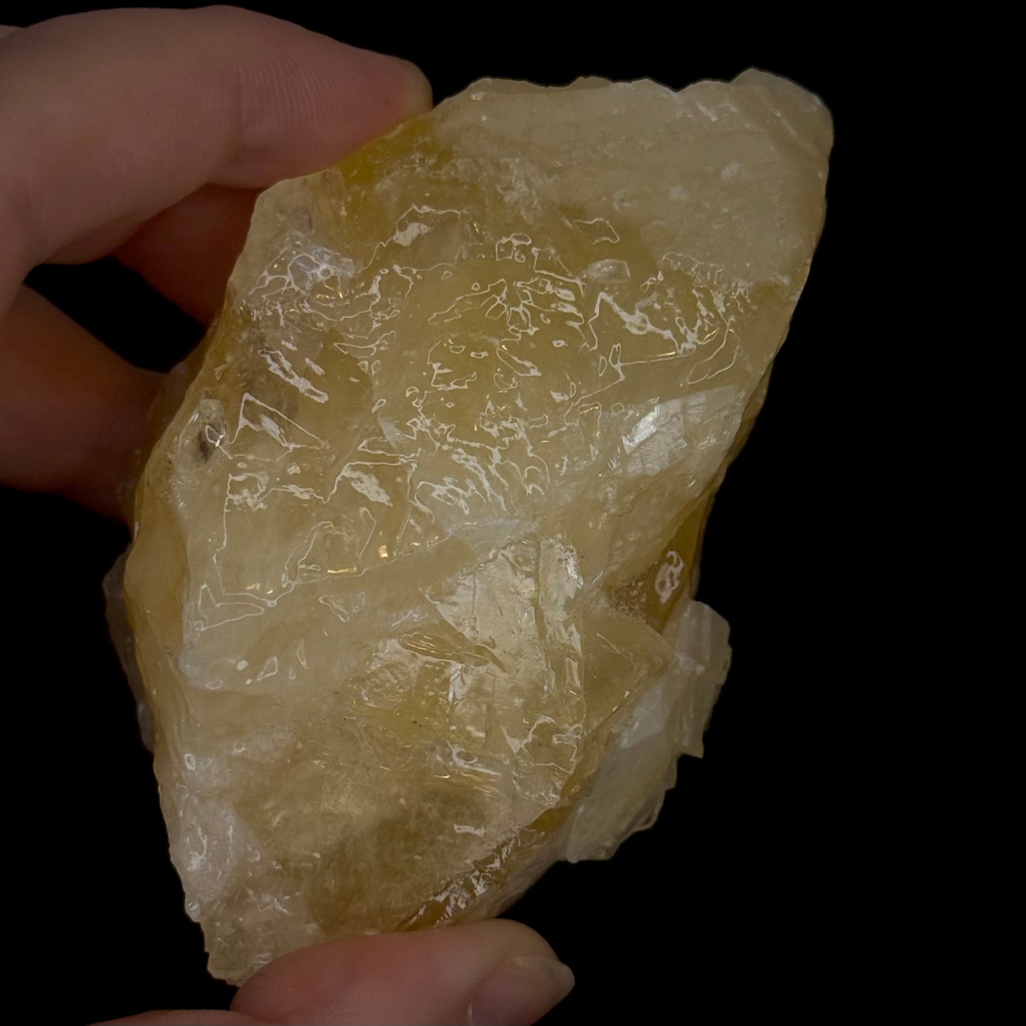 Angel Wing Calcite