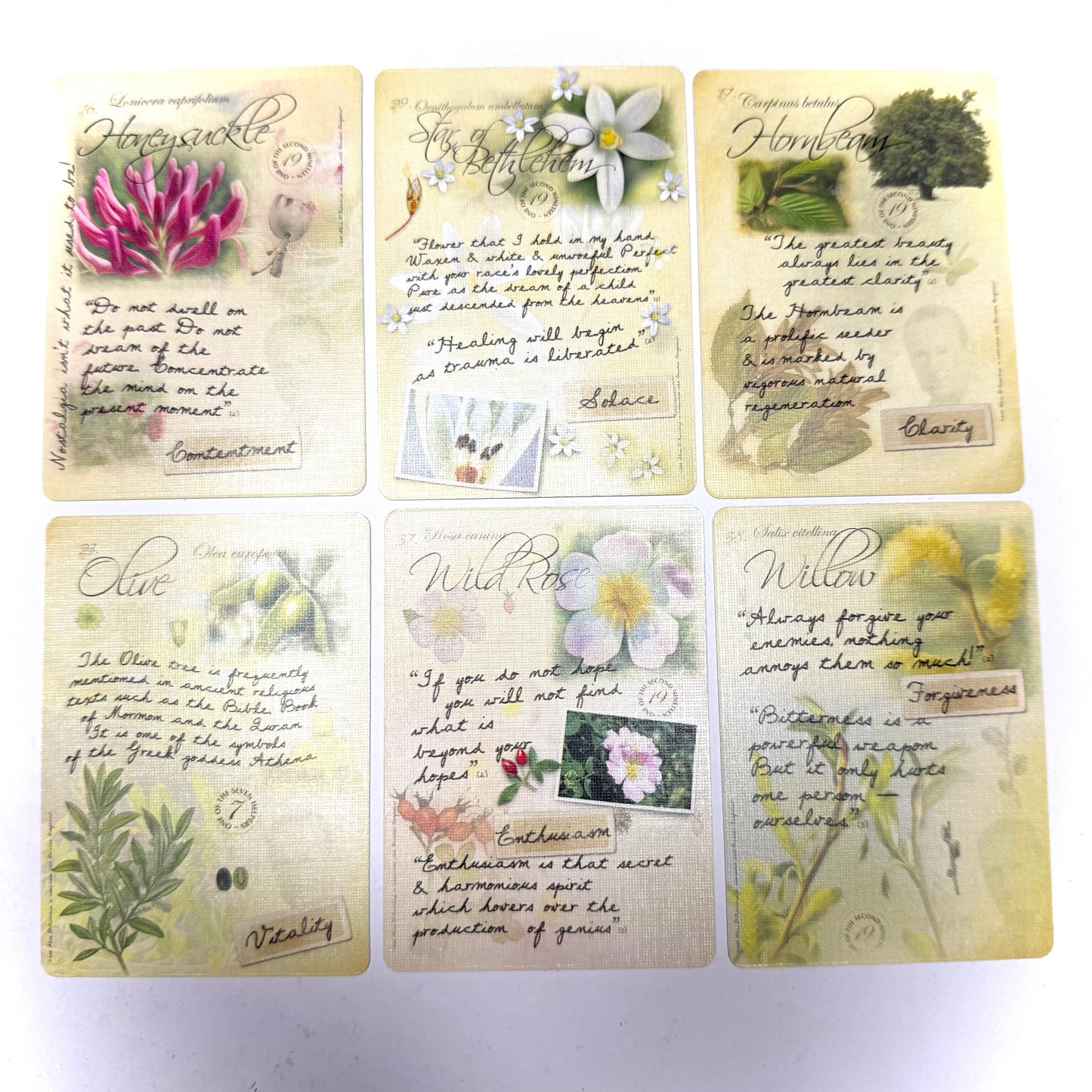 Bach Flower Divination Card Deck