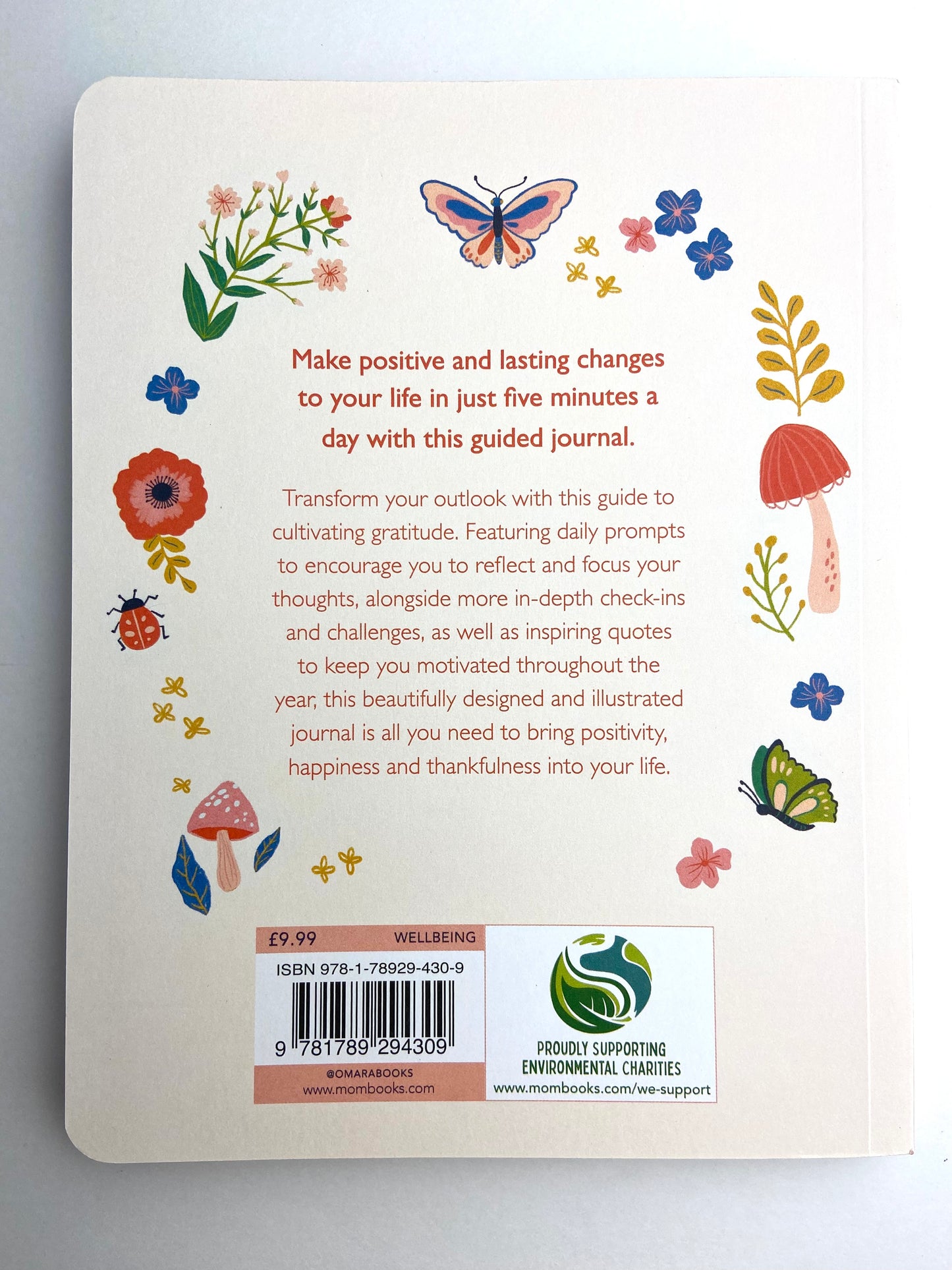 Your 5 Minute Journal Book