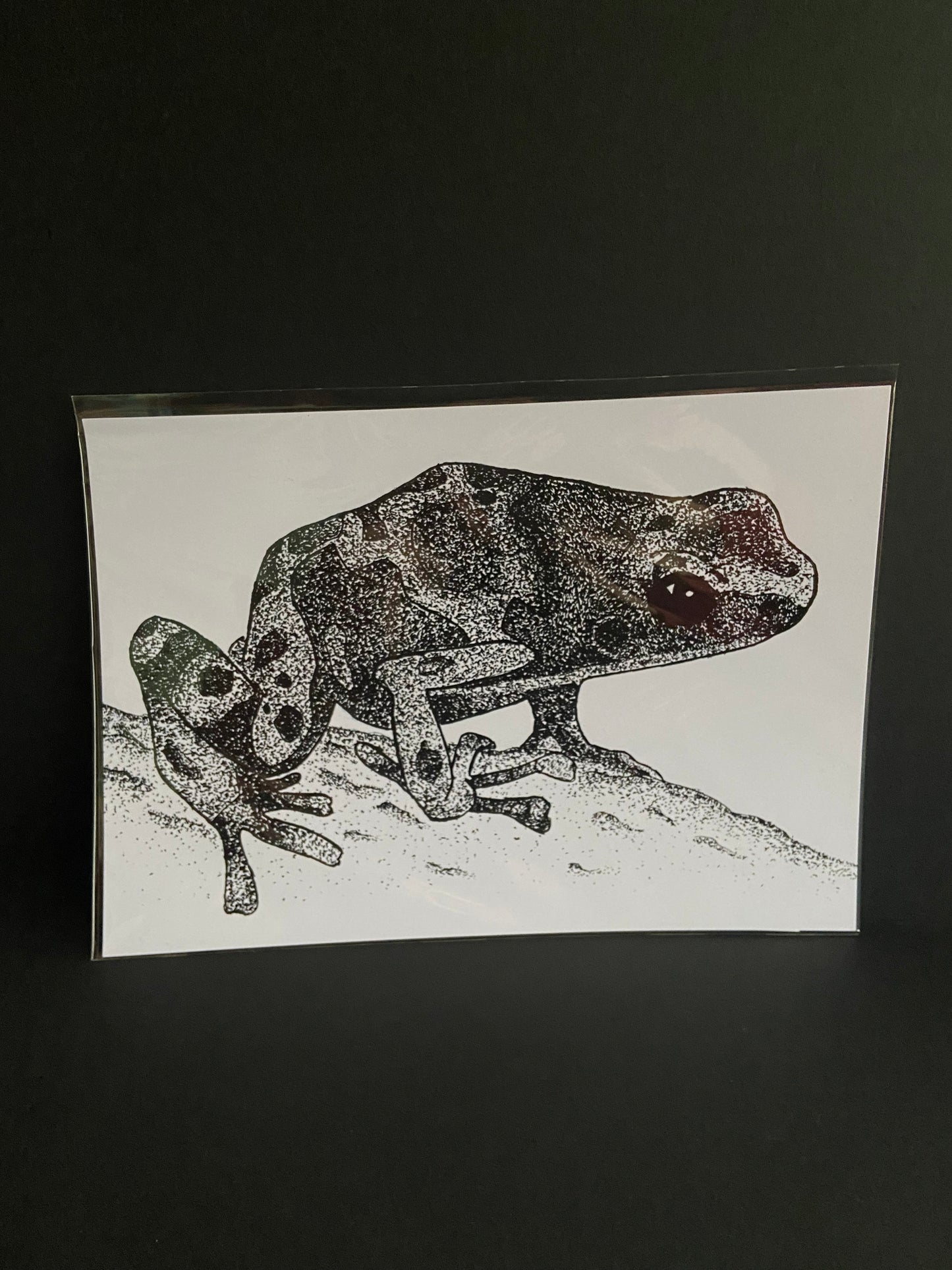 Poison Dart Frog Print