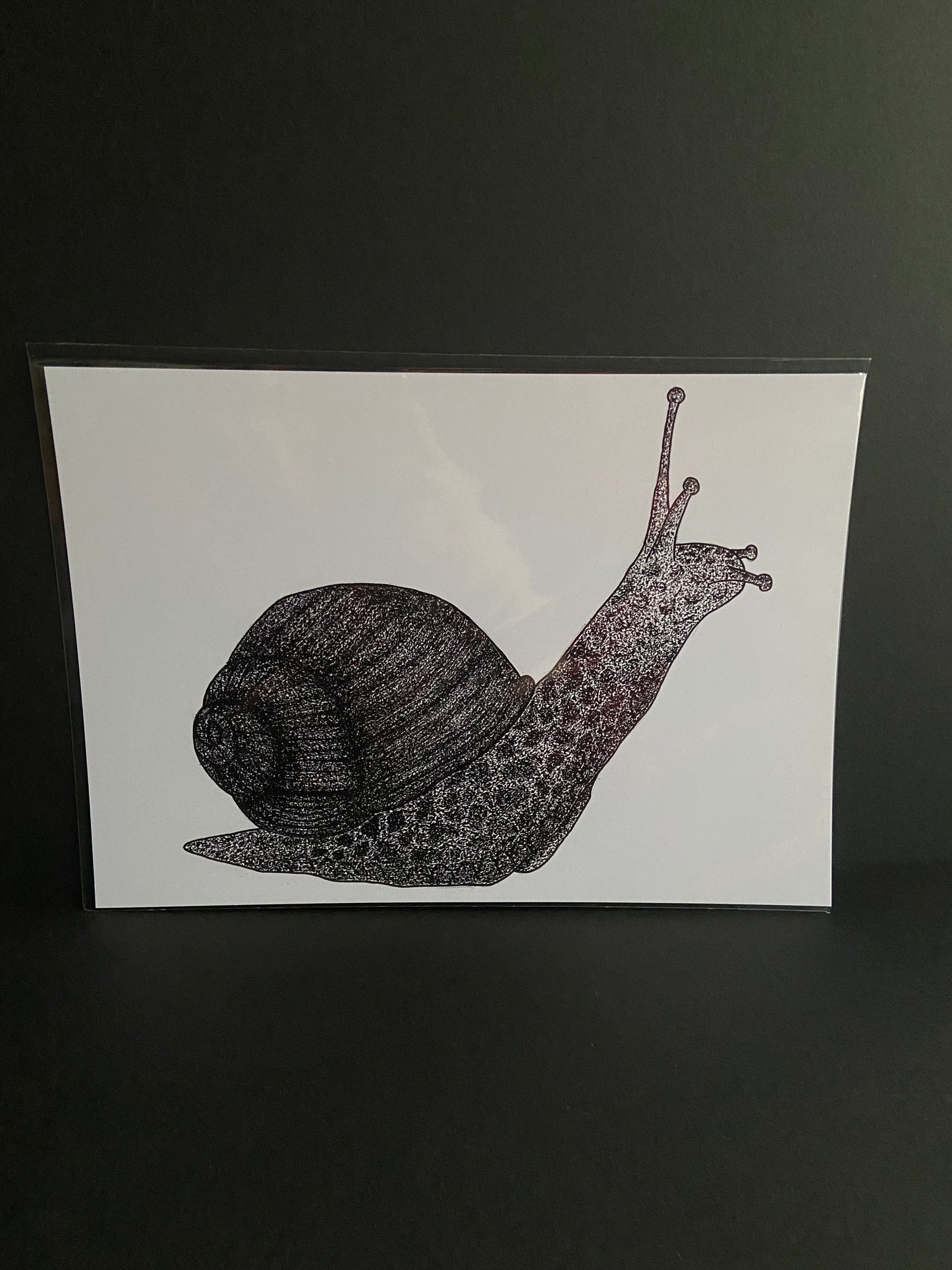 Snail Print