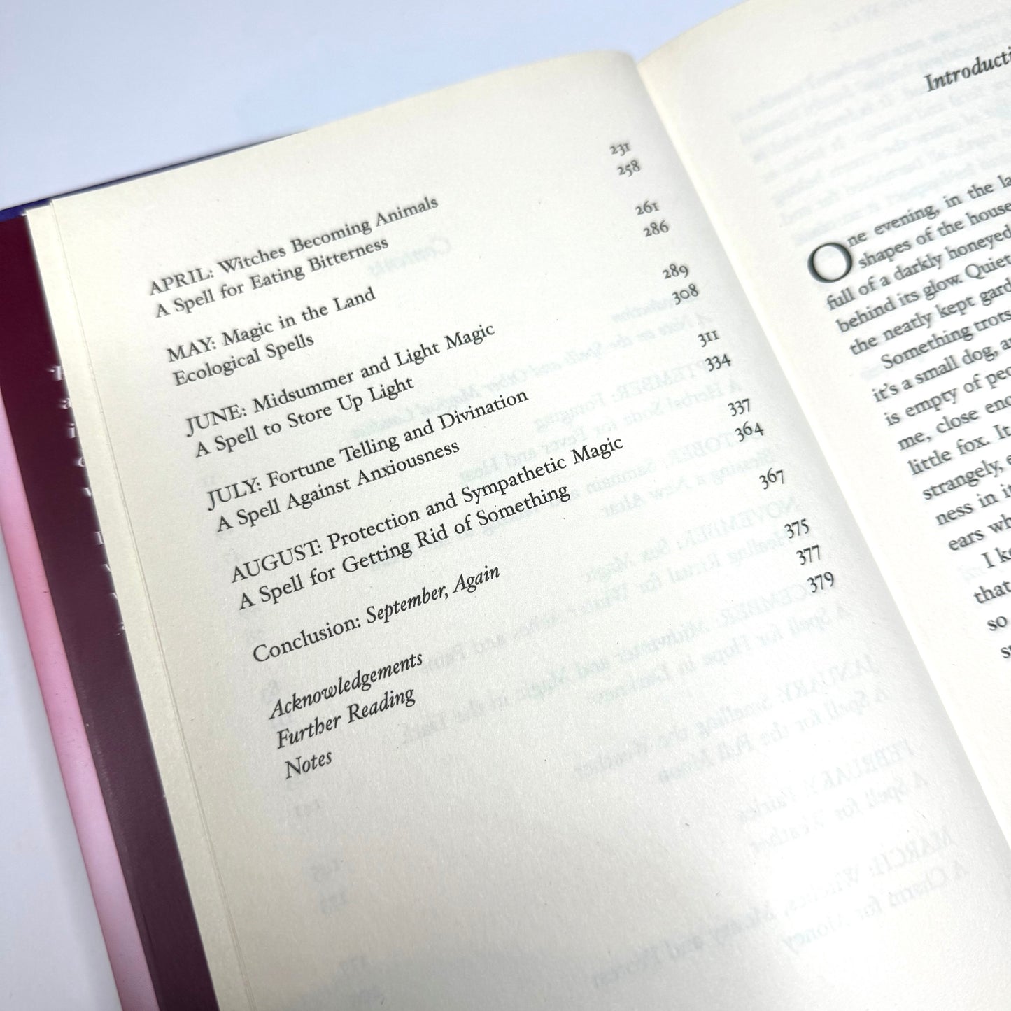 A Spell In The Wild Book