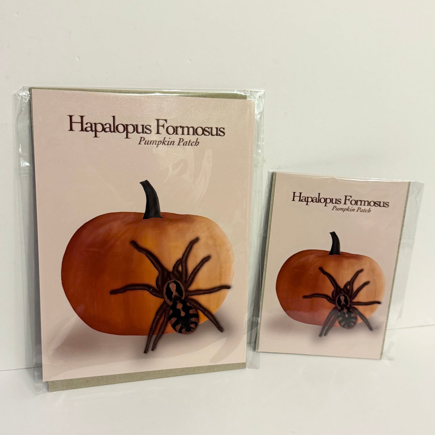 Hapalopus Formosus - Pumpkin Patch Tarantula Art Print