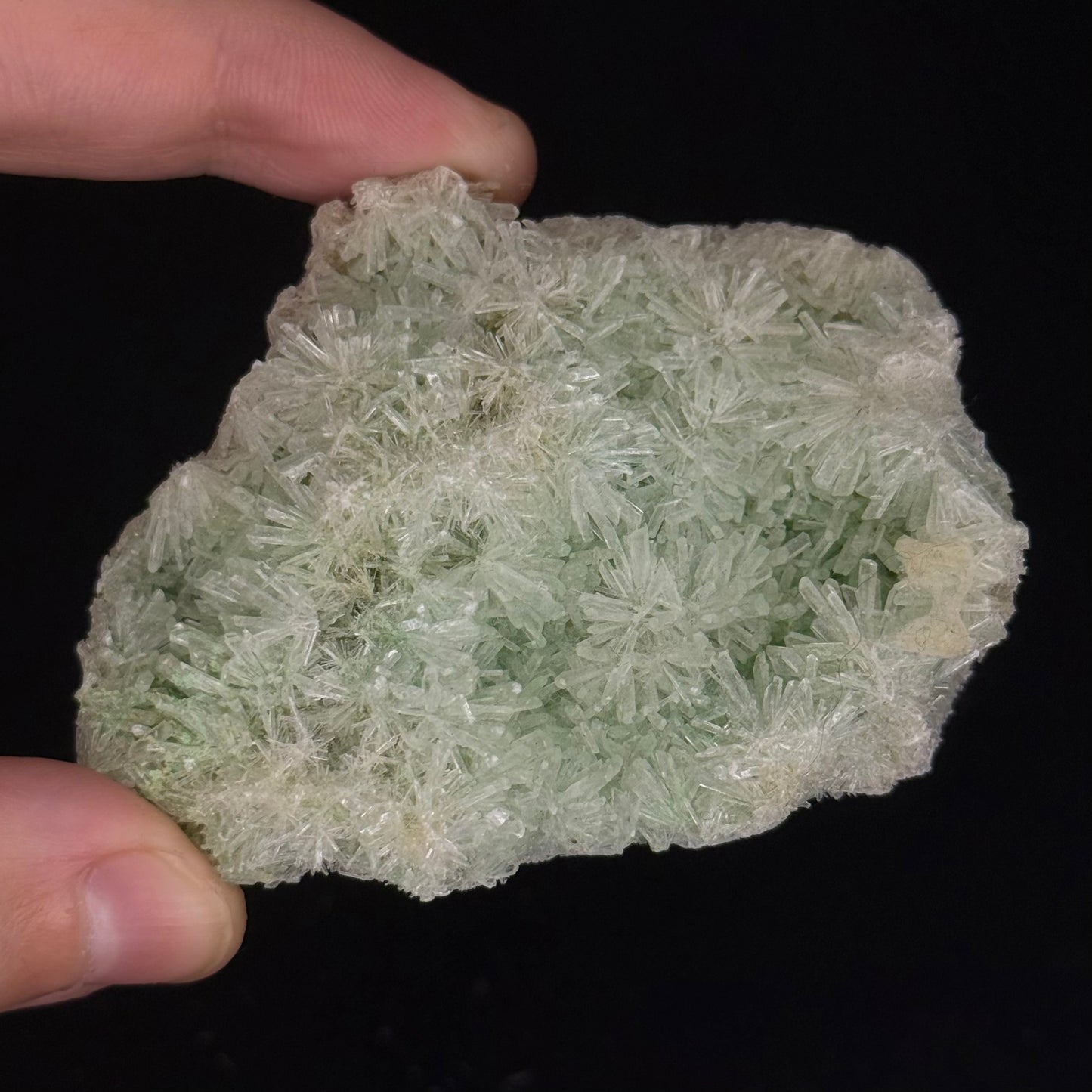 Green Gypsum
