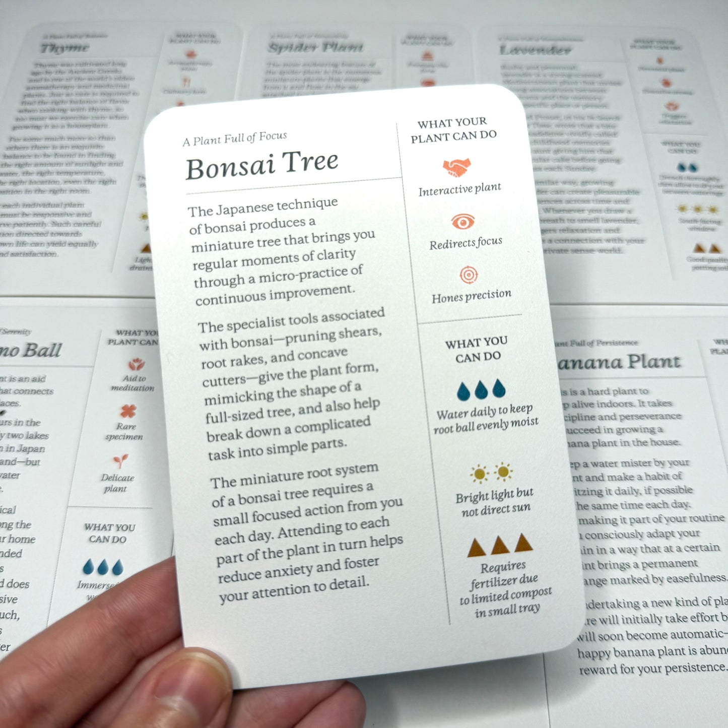 Plantfulness - How To Change Your Life With Plants Card Deck