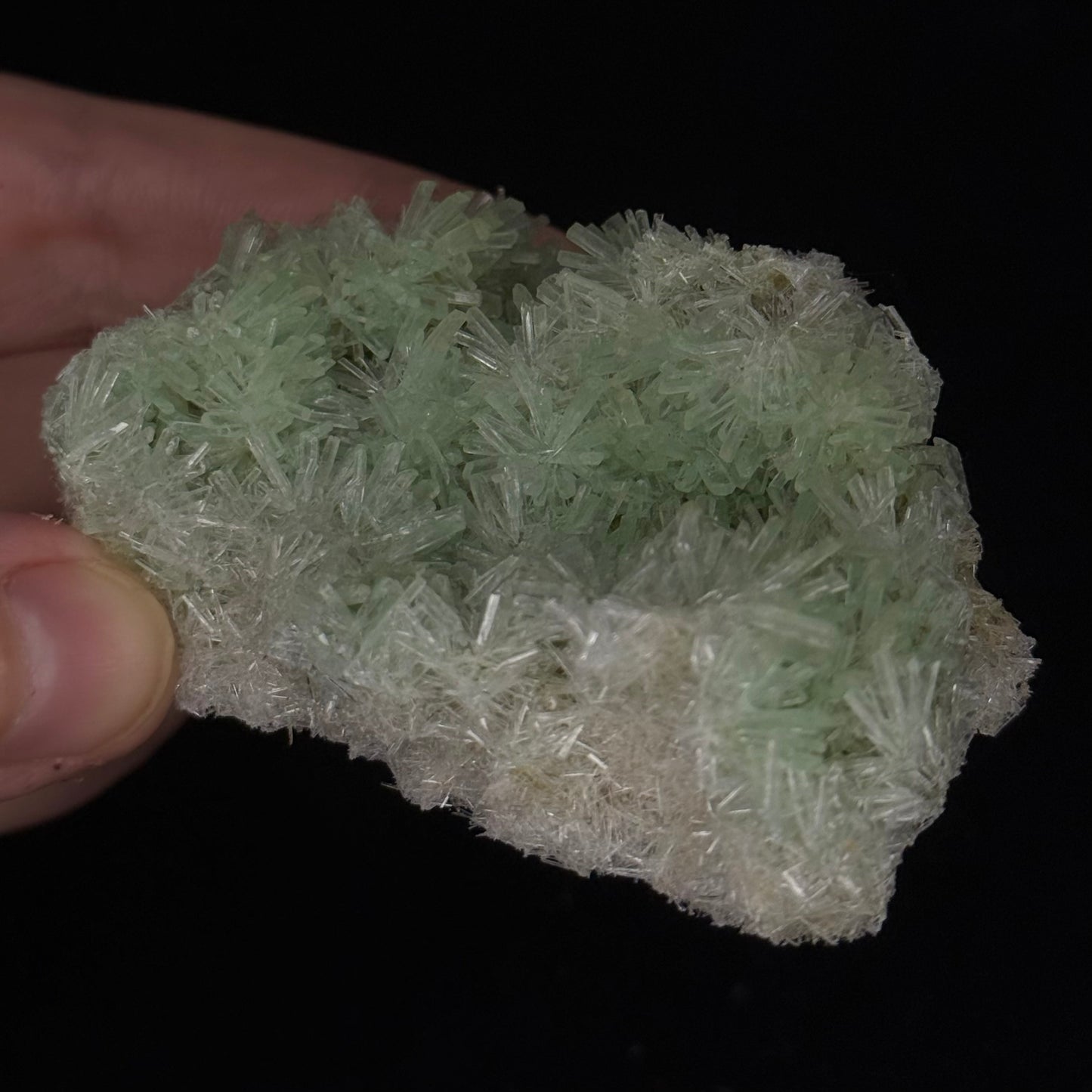 Green Gypsum