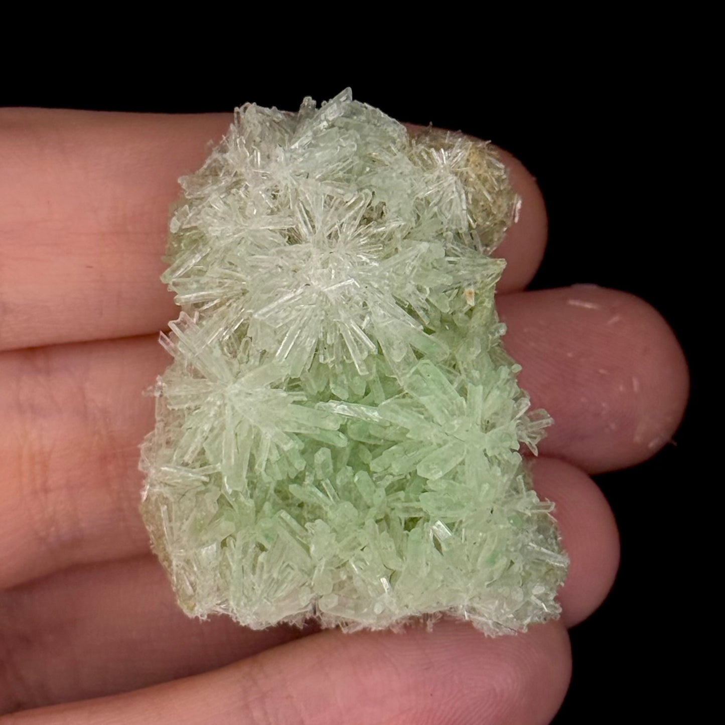 Green Gypsum