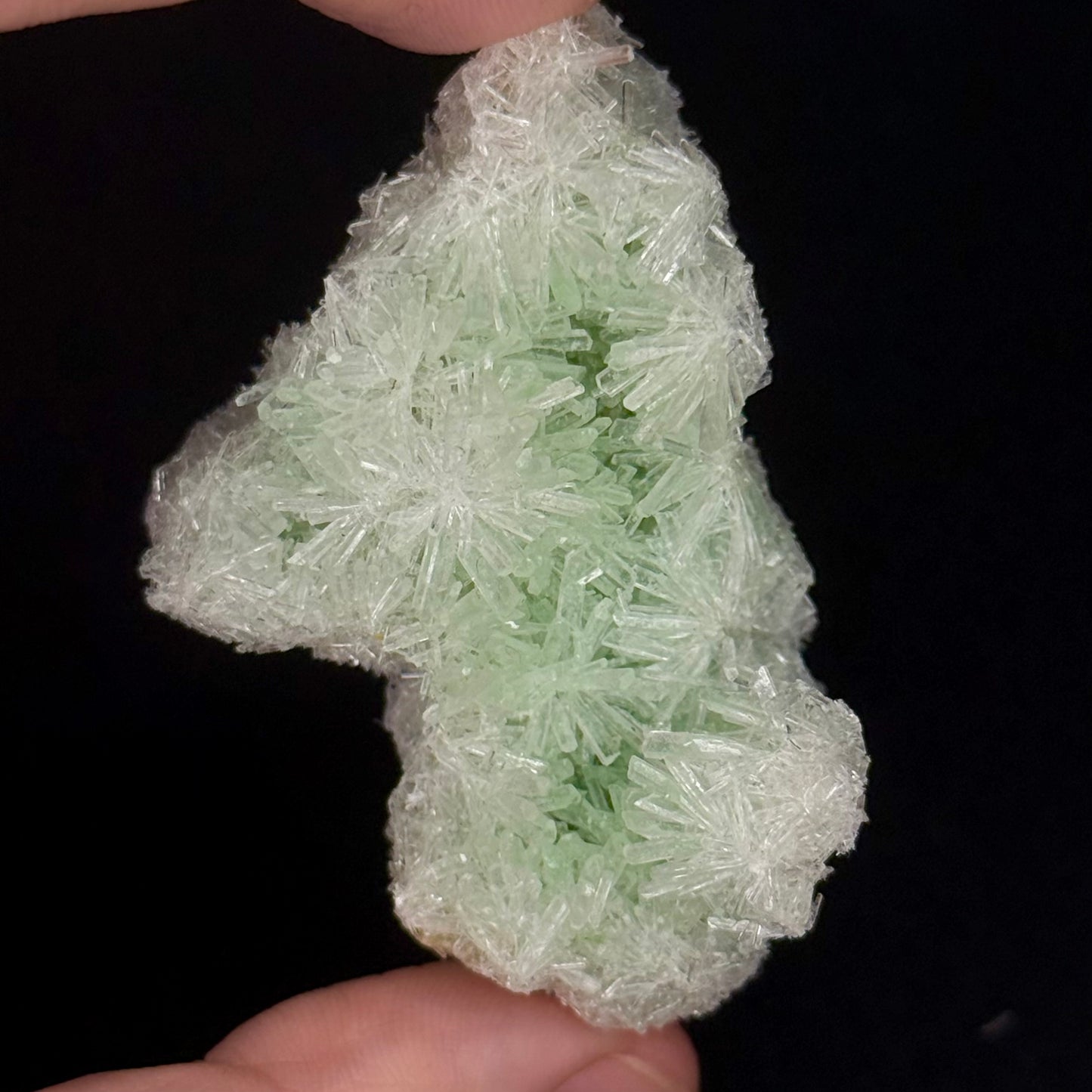 Green Gypsum