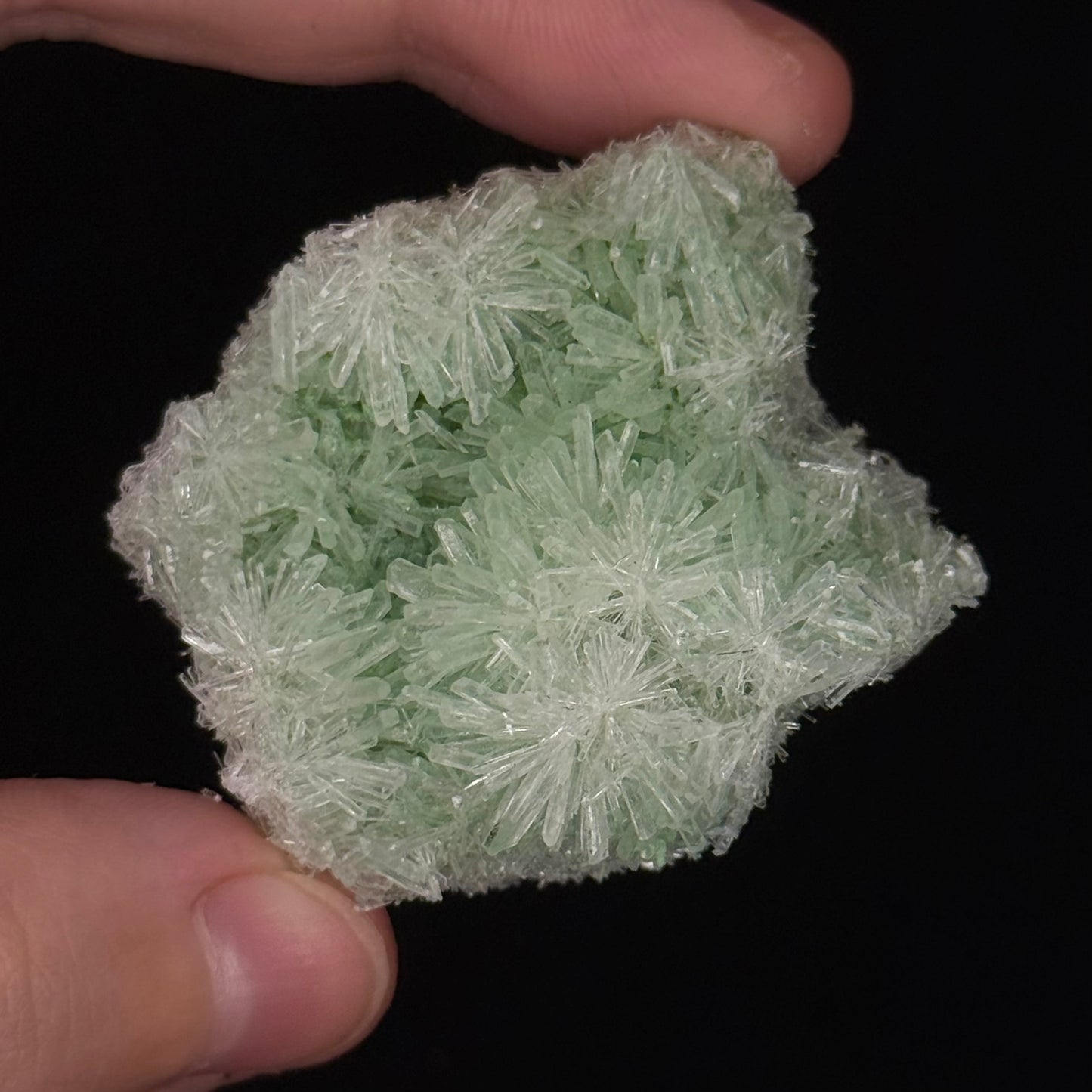 Green Gypsum