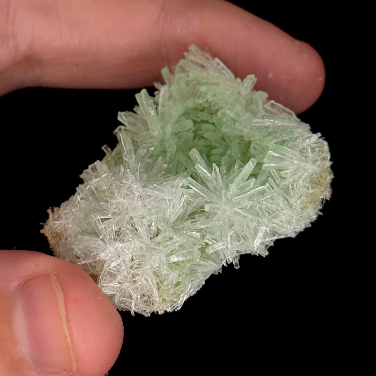 Green Gypsum