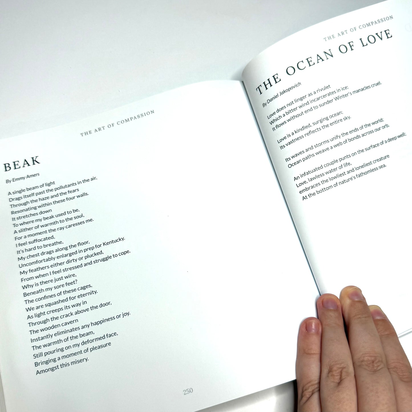 The Art Of Compassion - Creative Activism for Animals