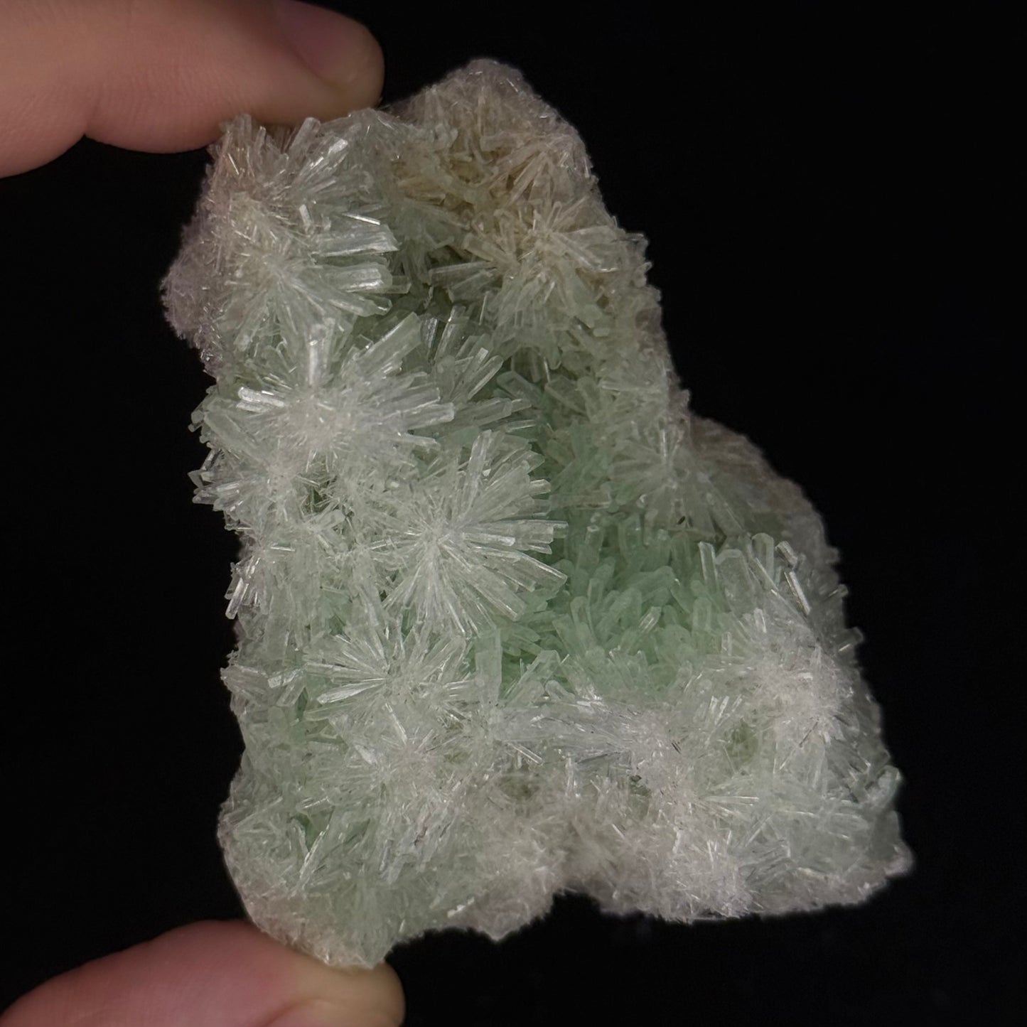 Green Gypsum