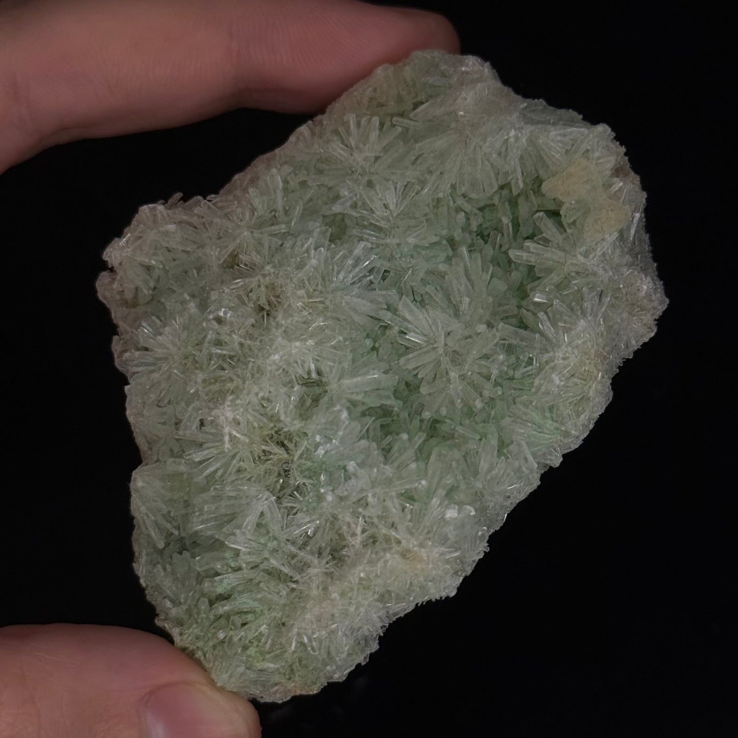 Green Gypsum