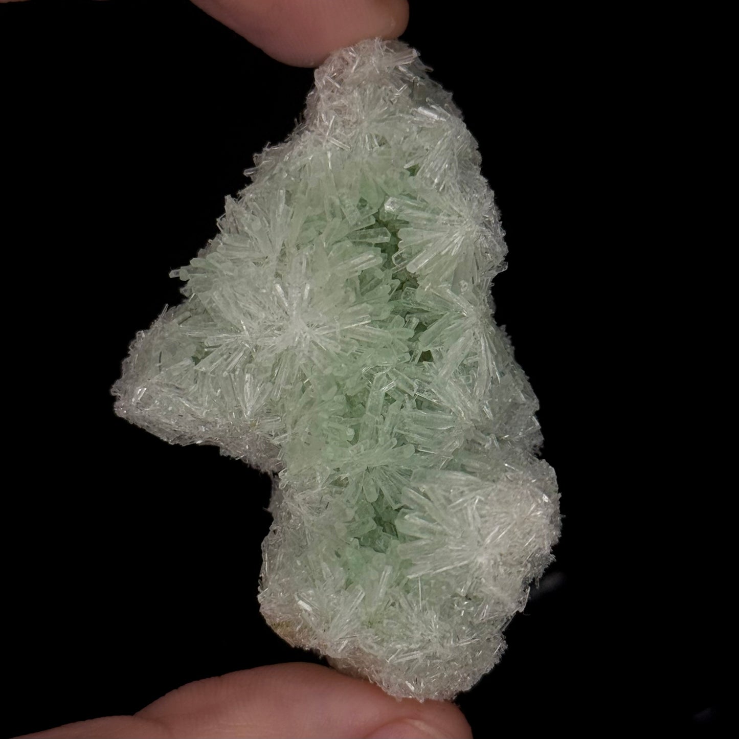 Green Gypsum