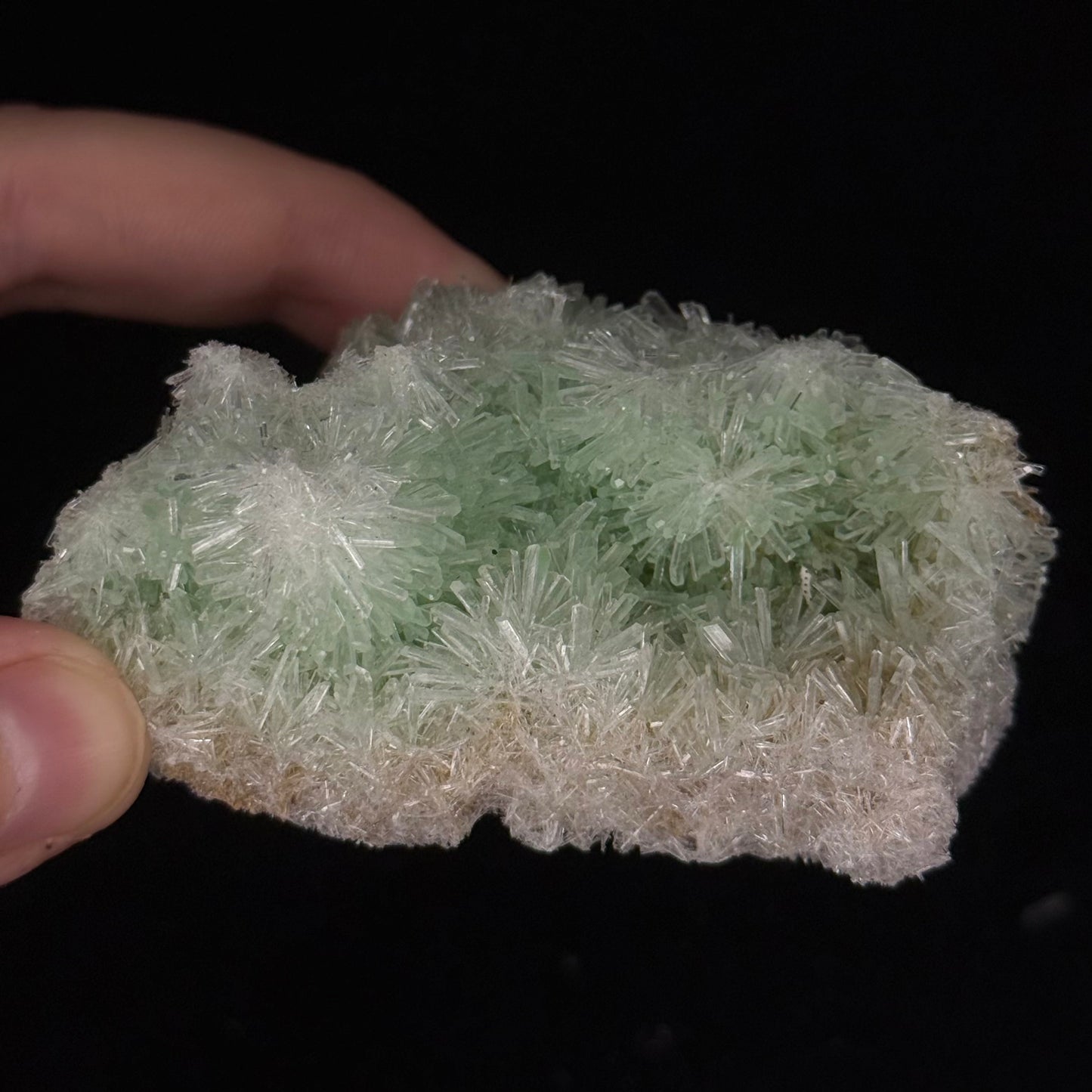 Green Gypsum