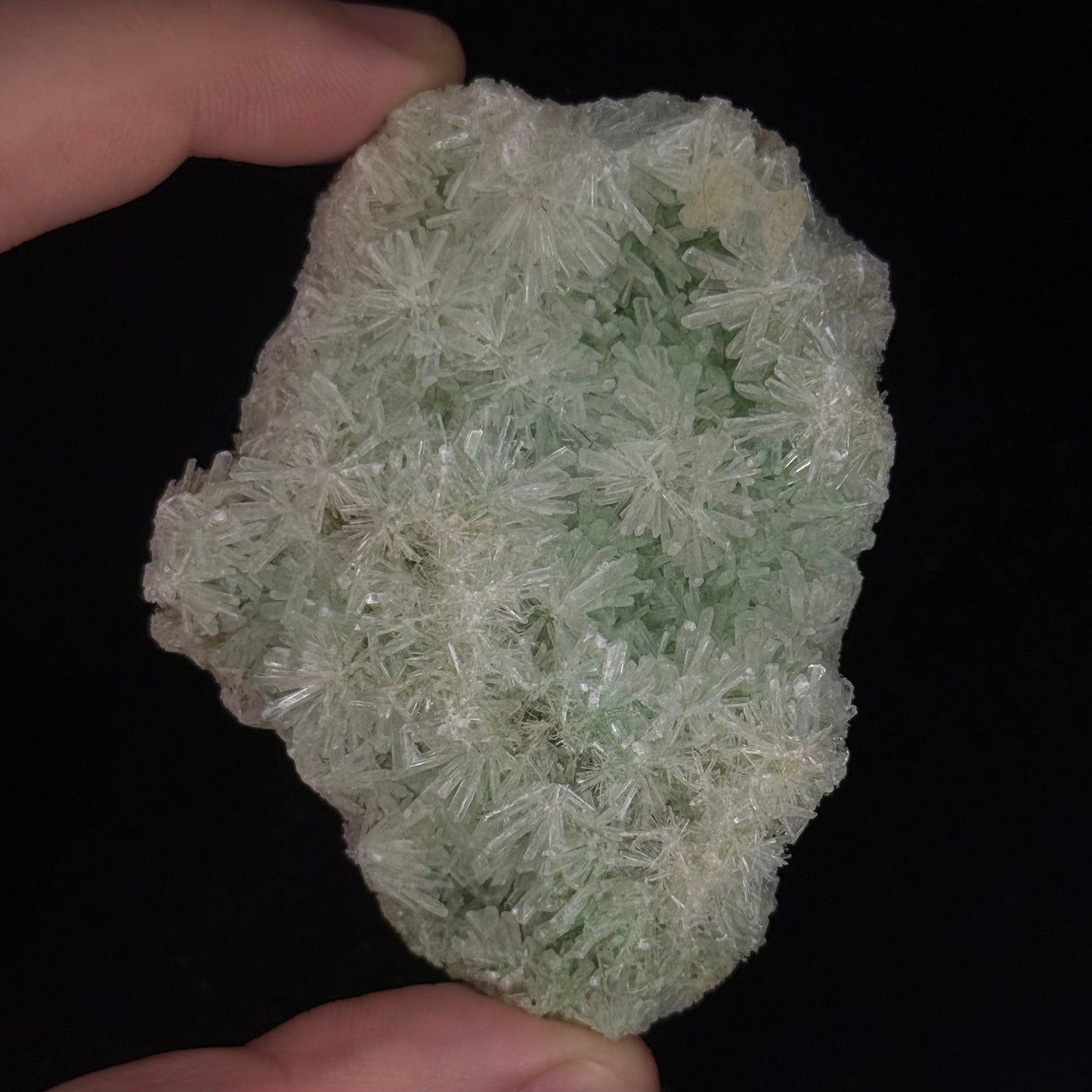 Green Gypsum