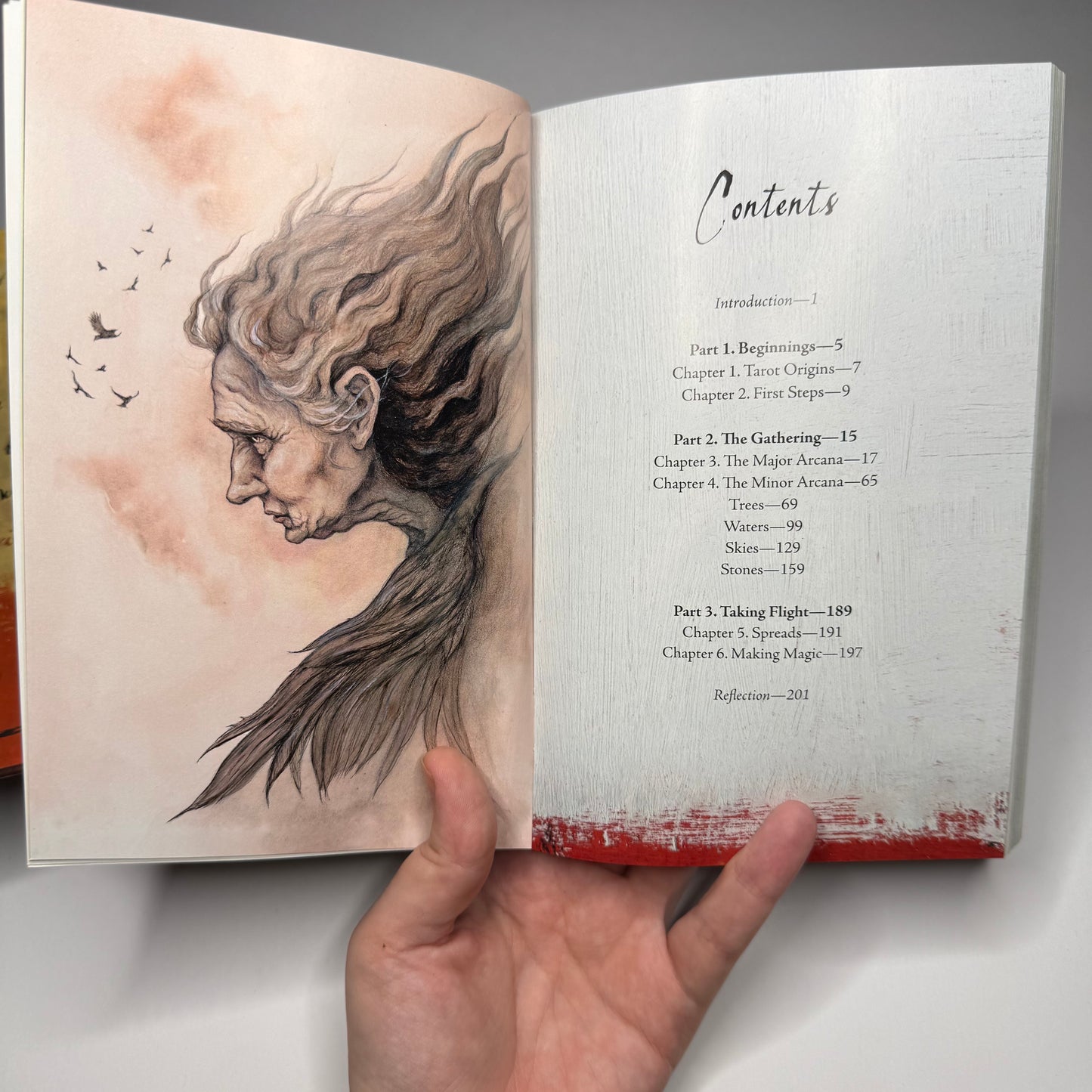 Witch Sisters Tarot Deck