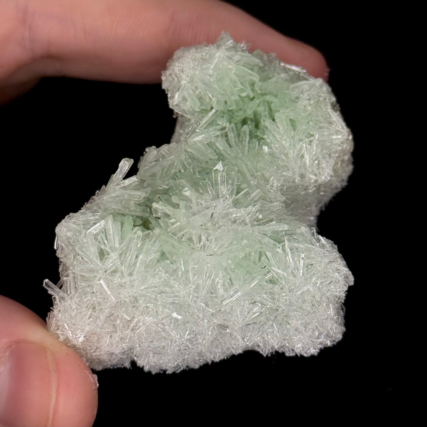 Green Gypsum