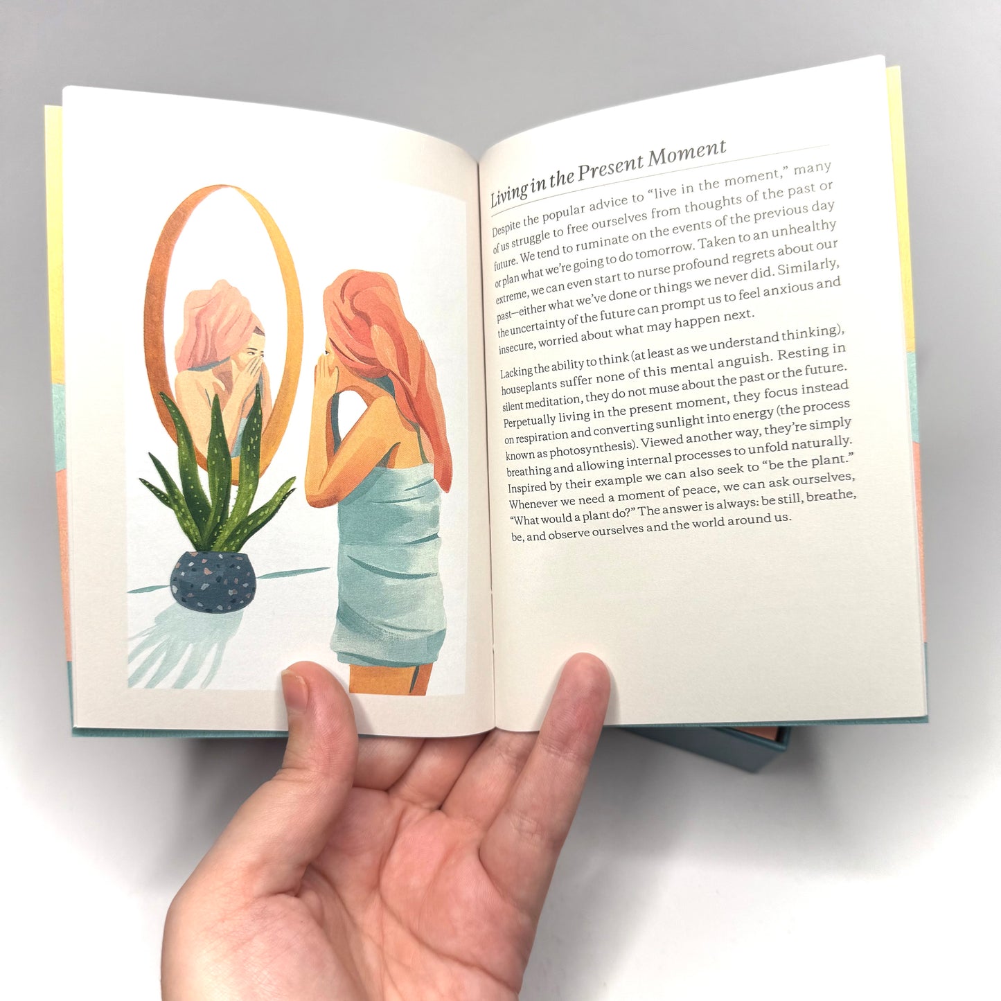 Plantfulness - How To Change Your Life With Plants Card Deck