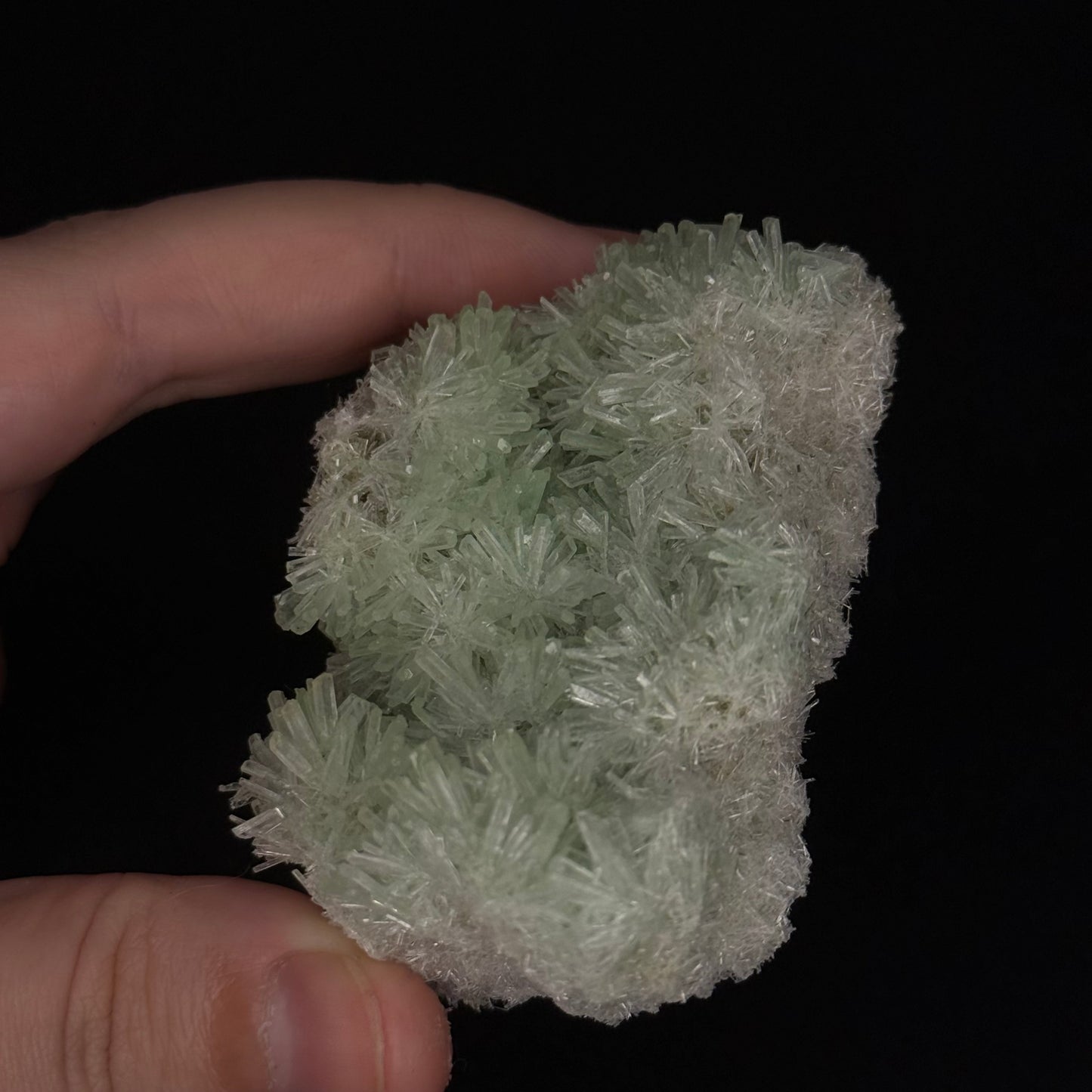 Green Gypsum