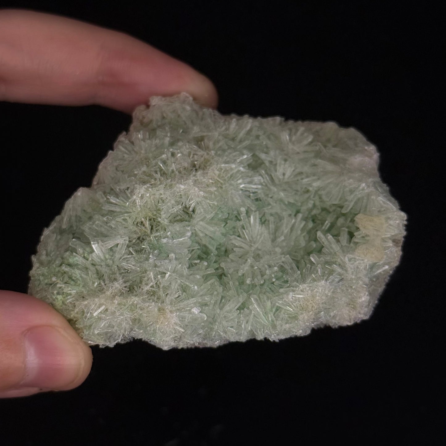 Green Gypsum
