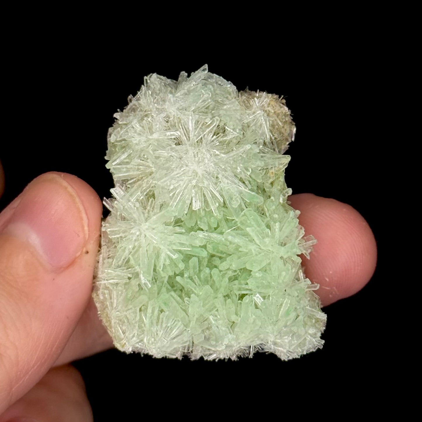 Green Gypsum