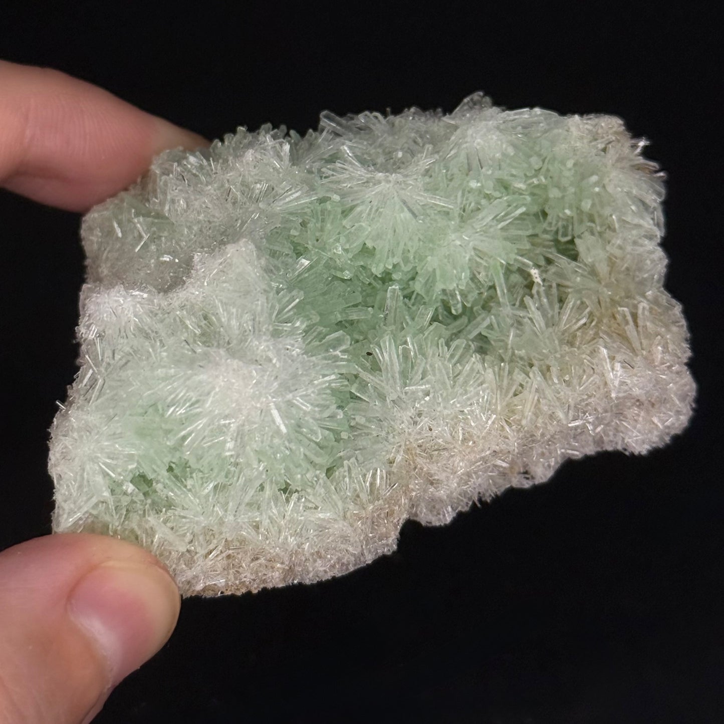Green Gypsum