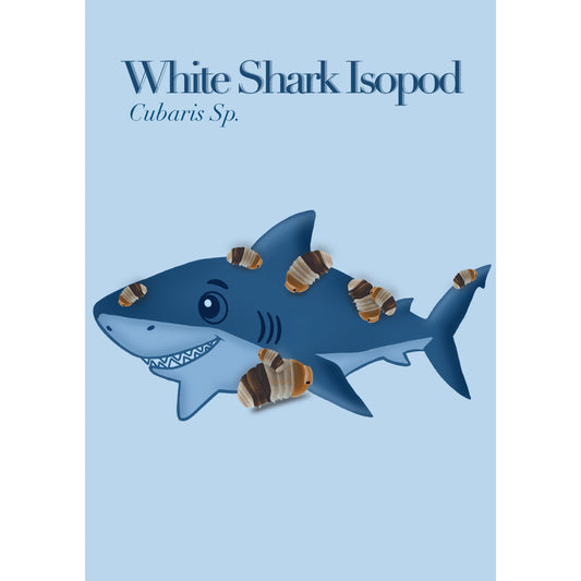 Cubaris White Shark Isopod Art Print