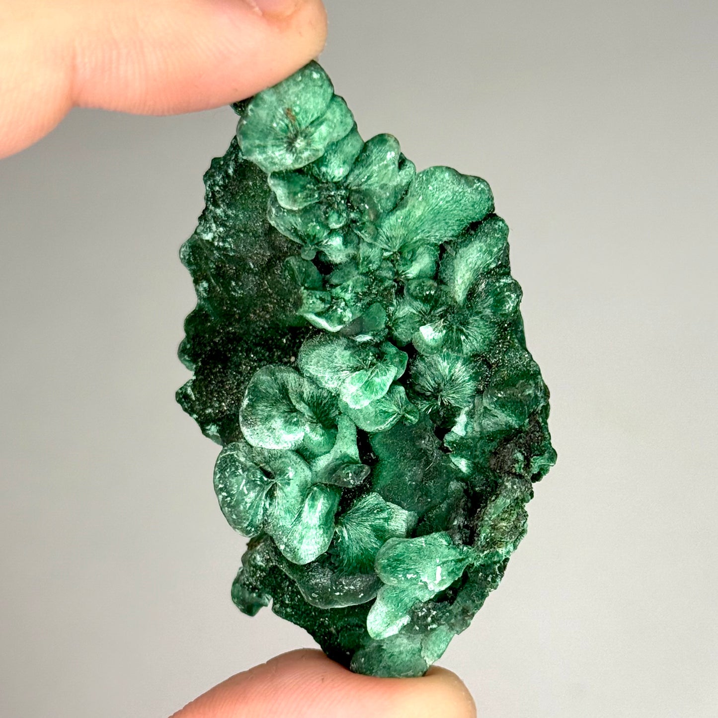 Silky Malachite