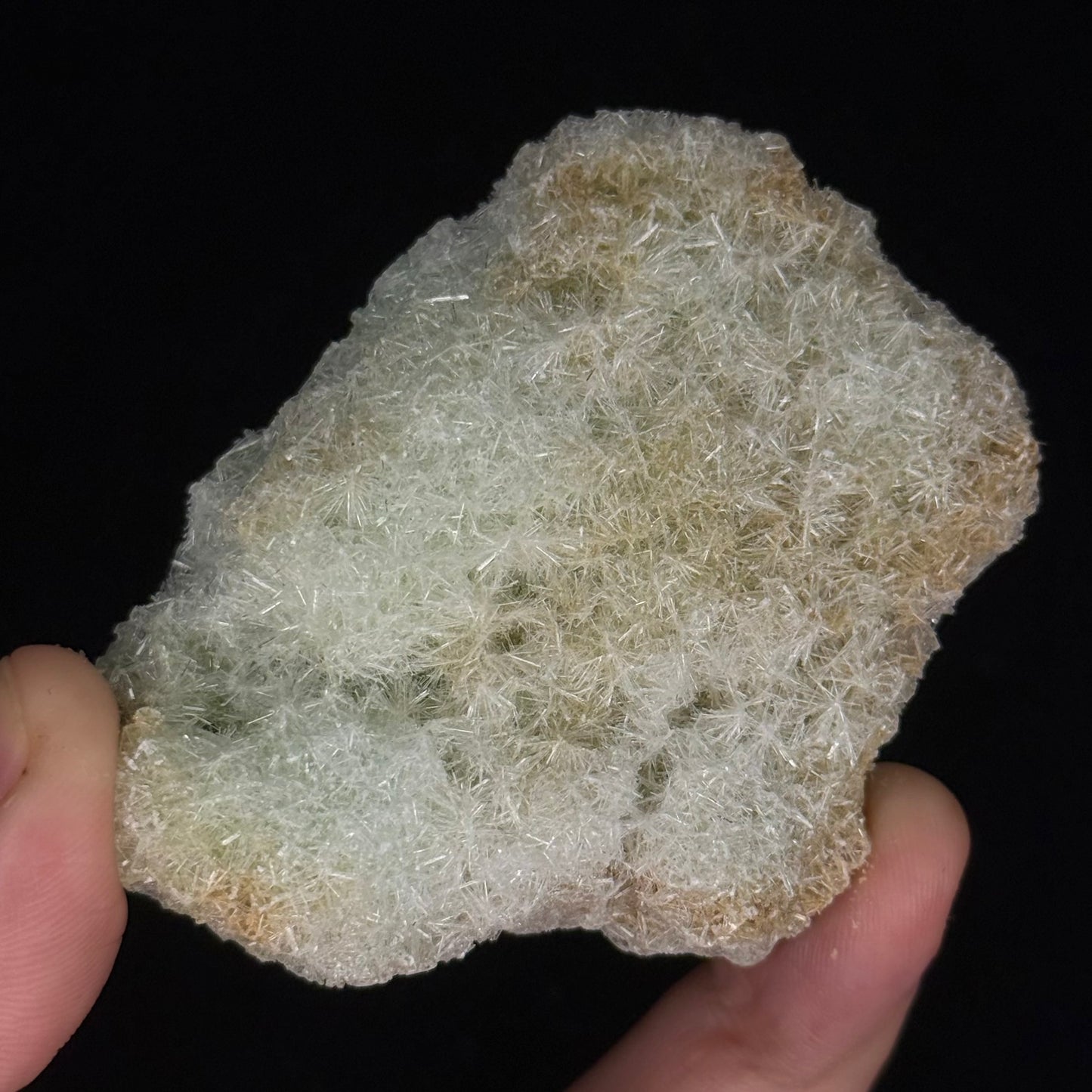 Green Gypsum