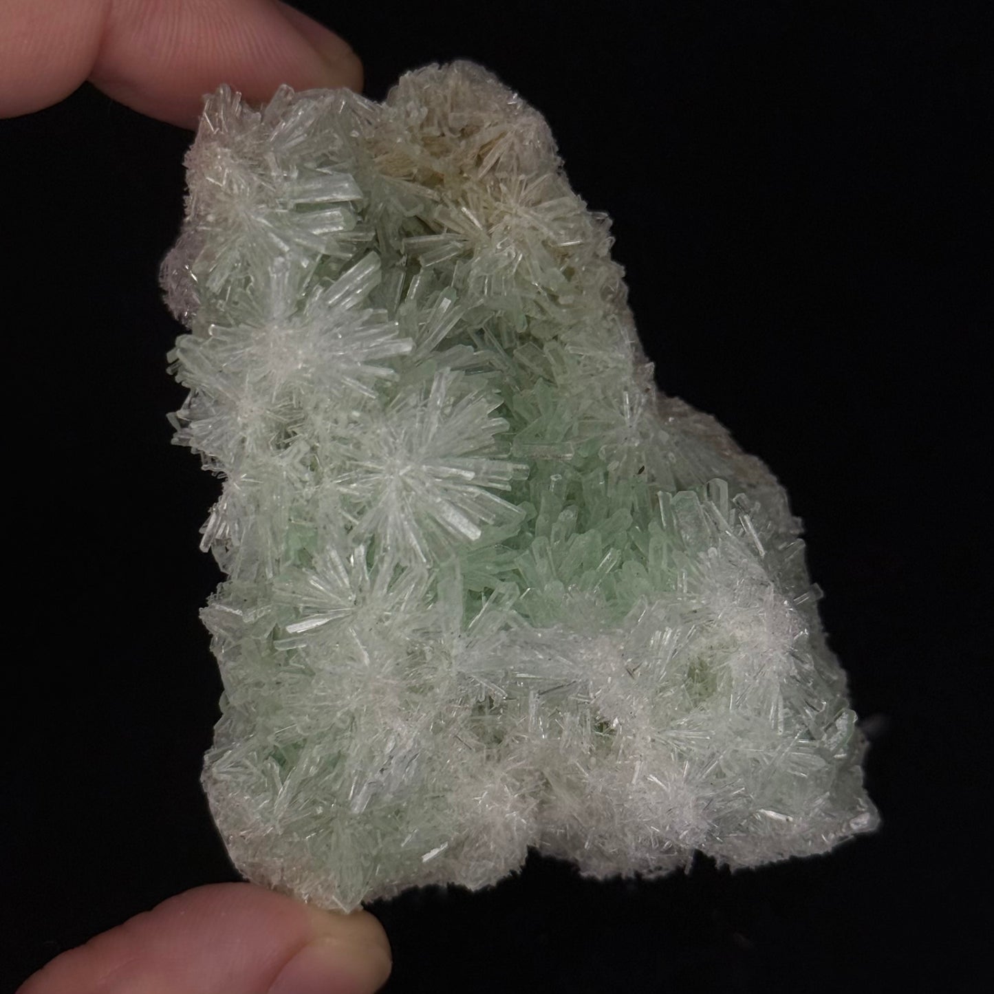 Green Gypsum