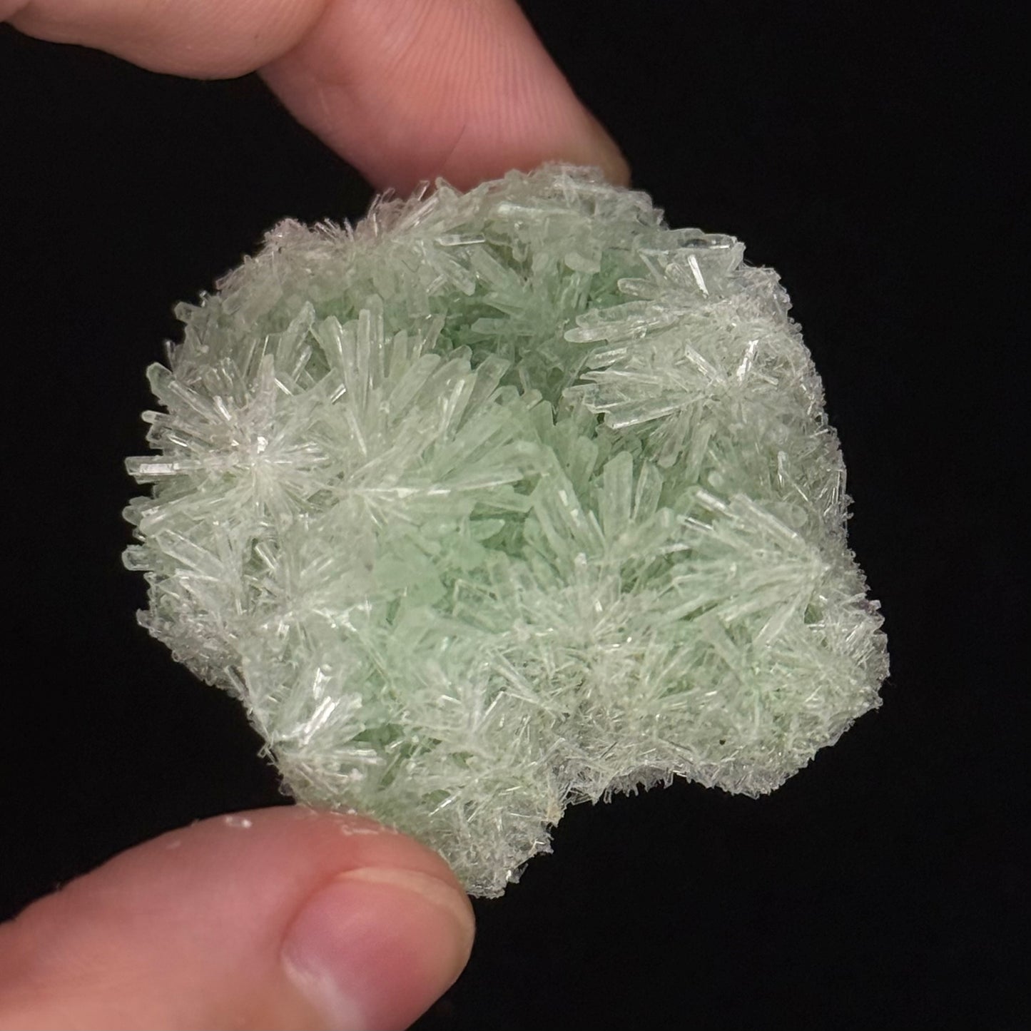 Green Gypsum
