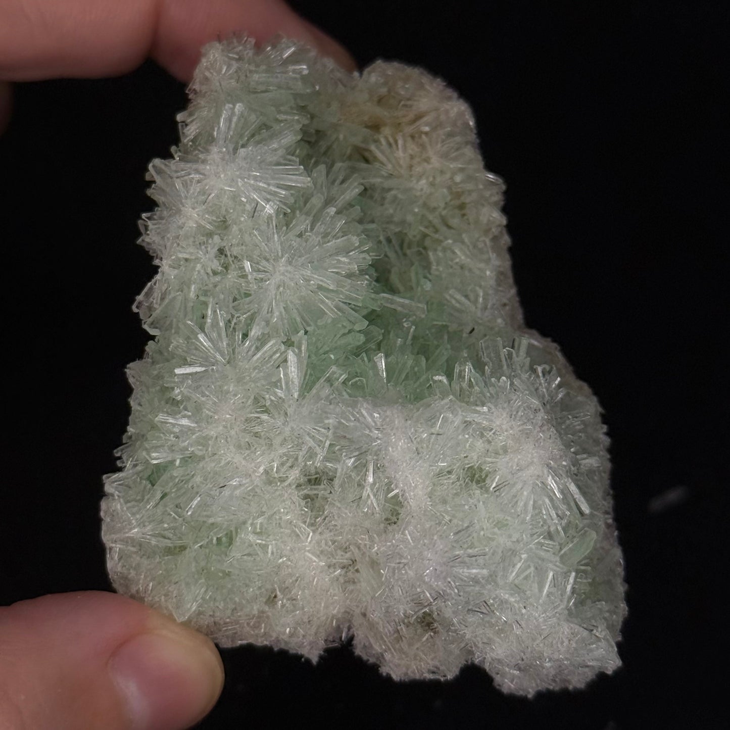Green Gypsum