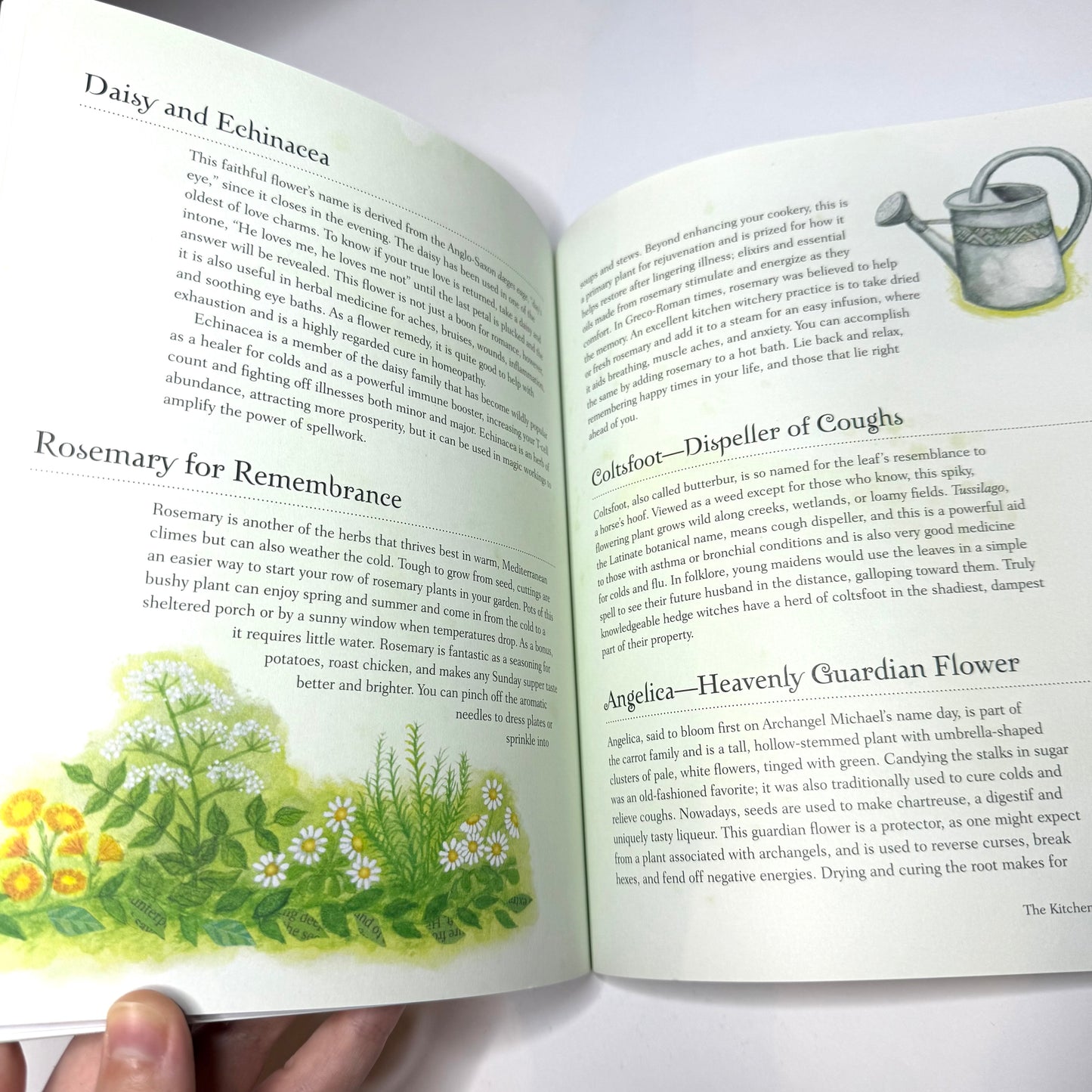 The Book of Kitchen Witchery