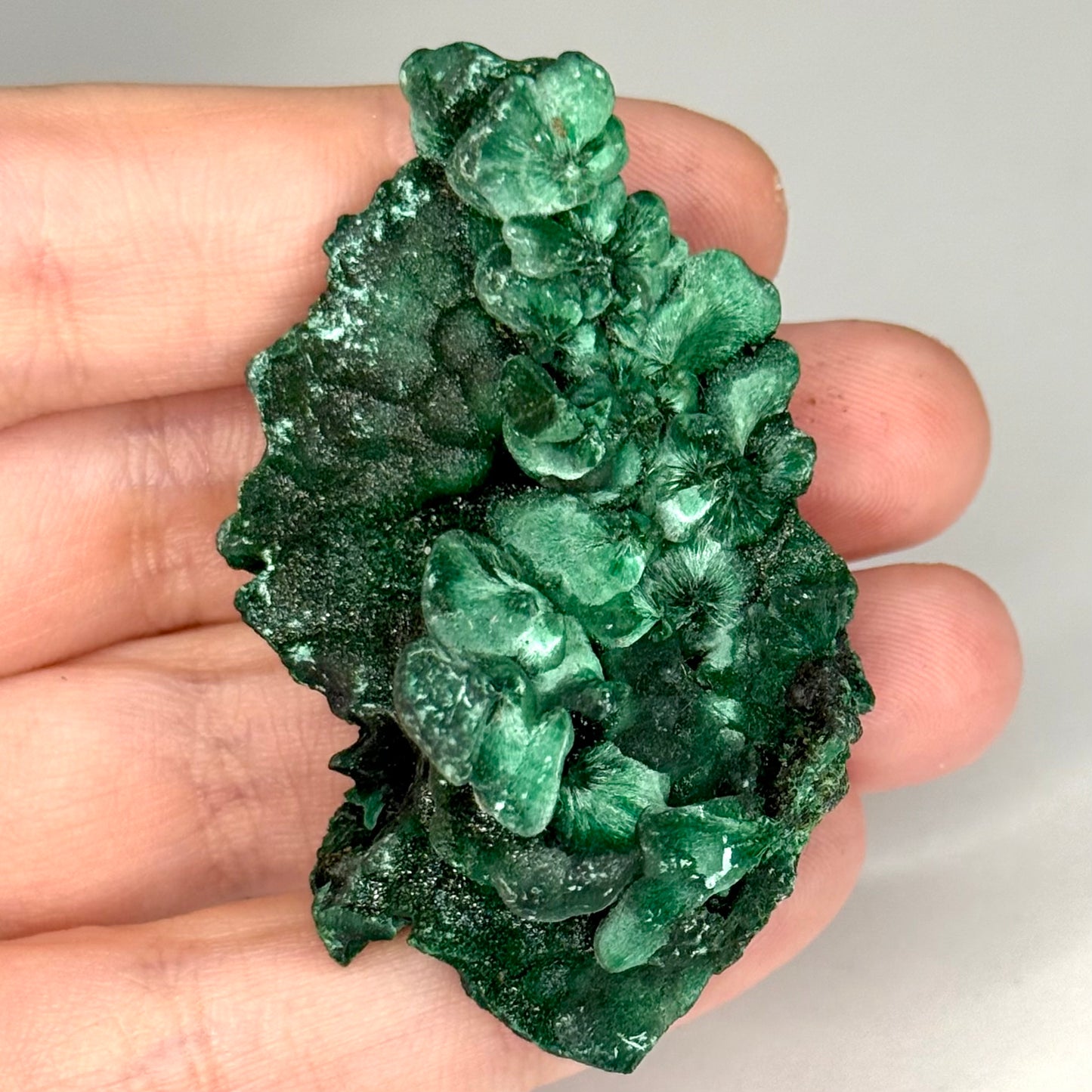 Silky Malachite
