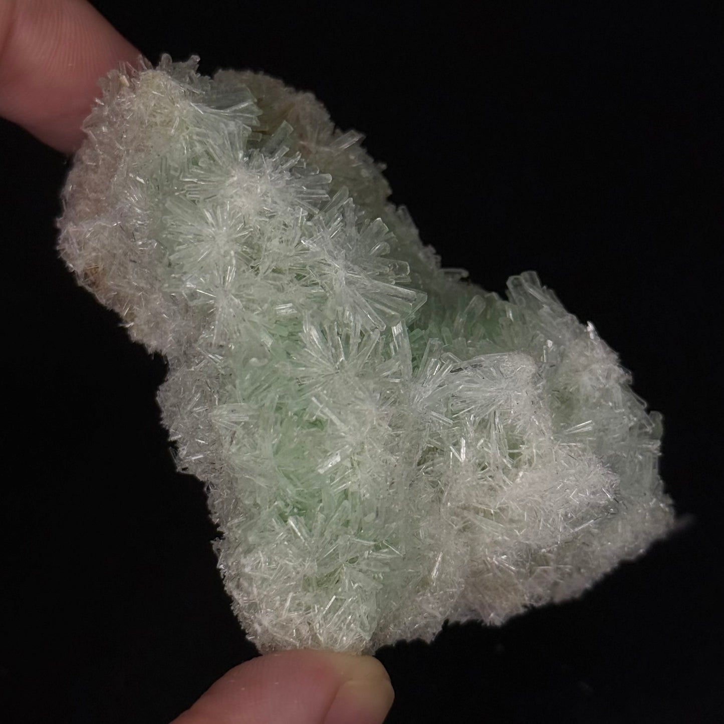 Green Gypsum