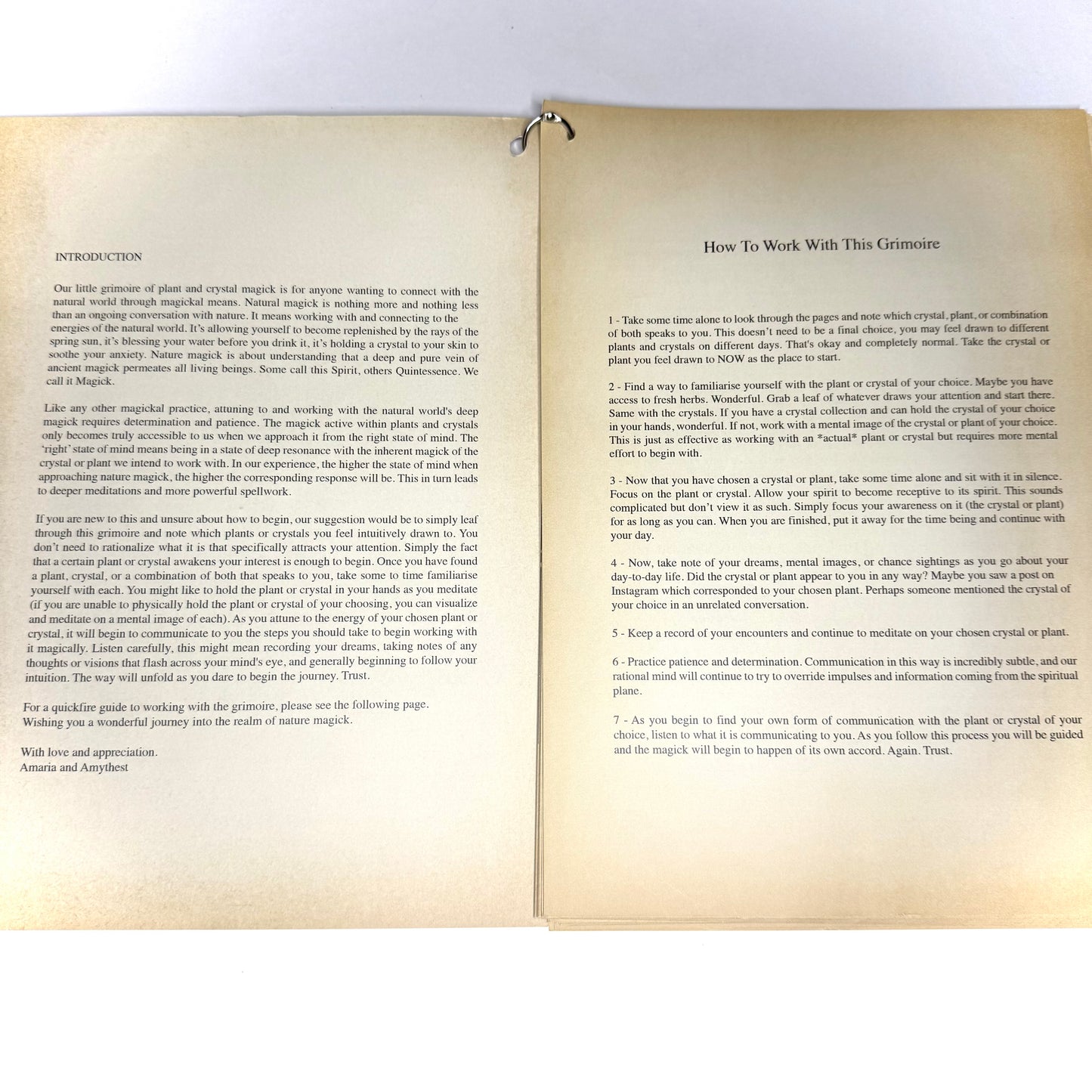 Secret Grimoire of Plant and Crystal Magick - Original Edition