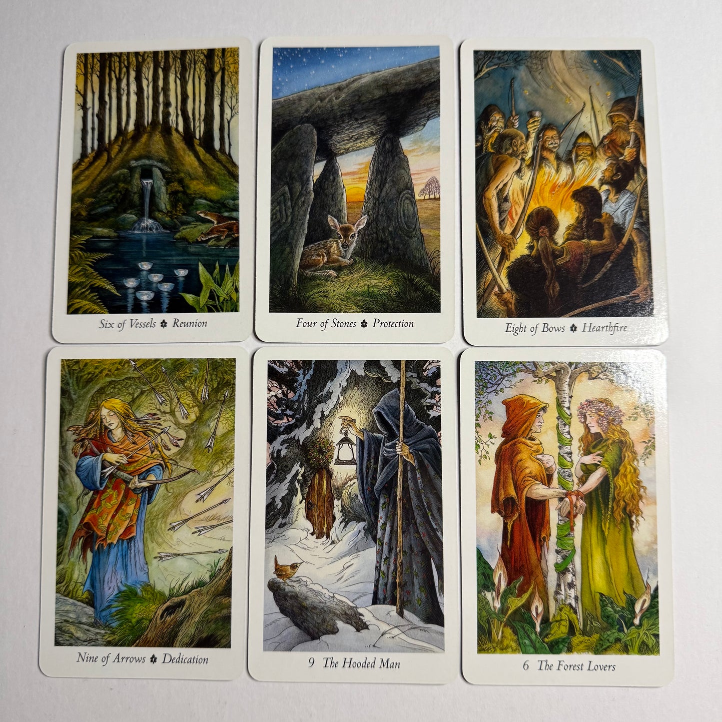 The Wild Wood Tarot Deck