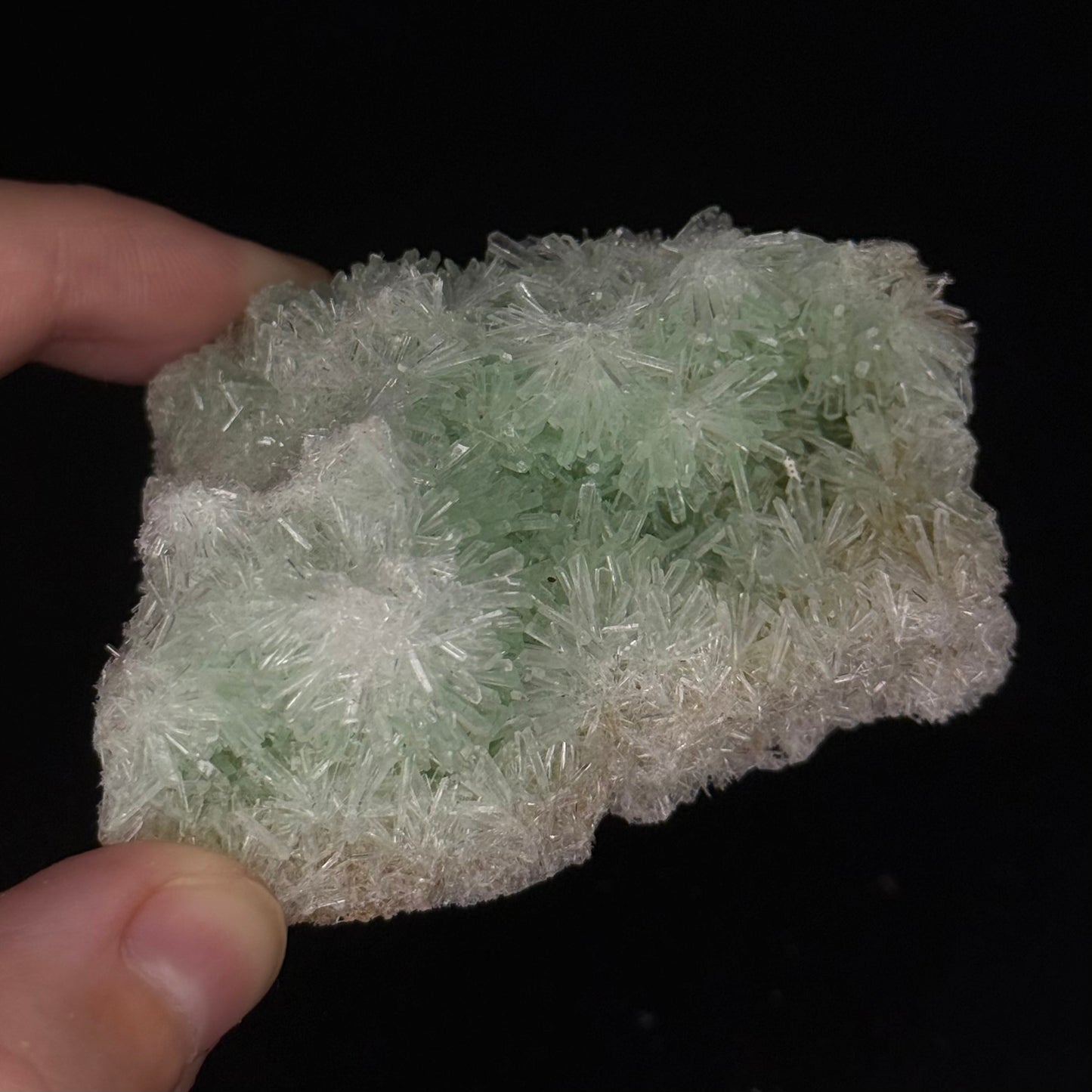 Green Gypsum