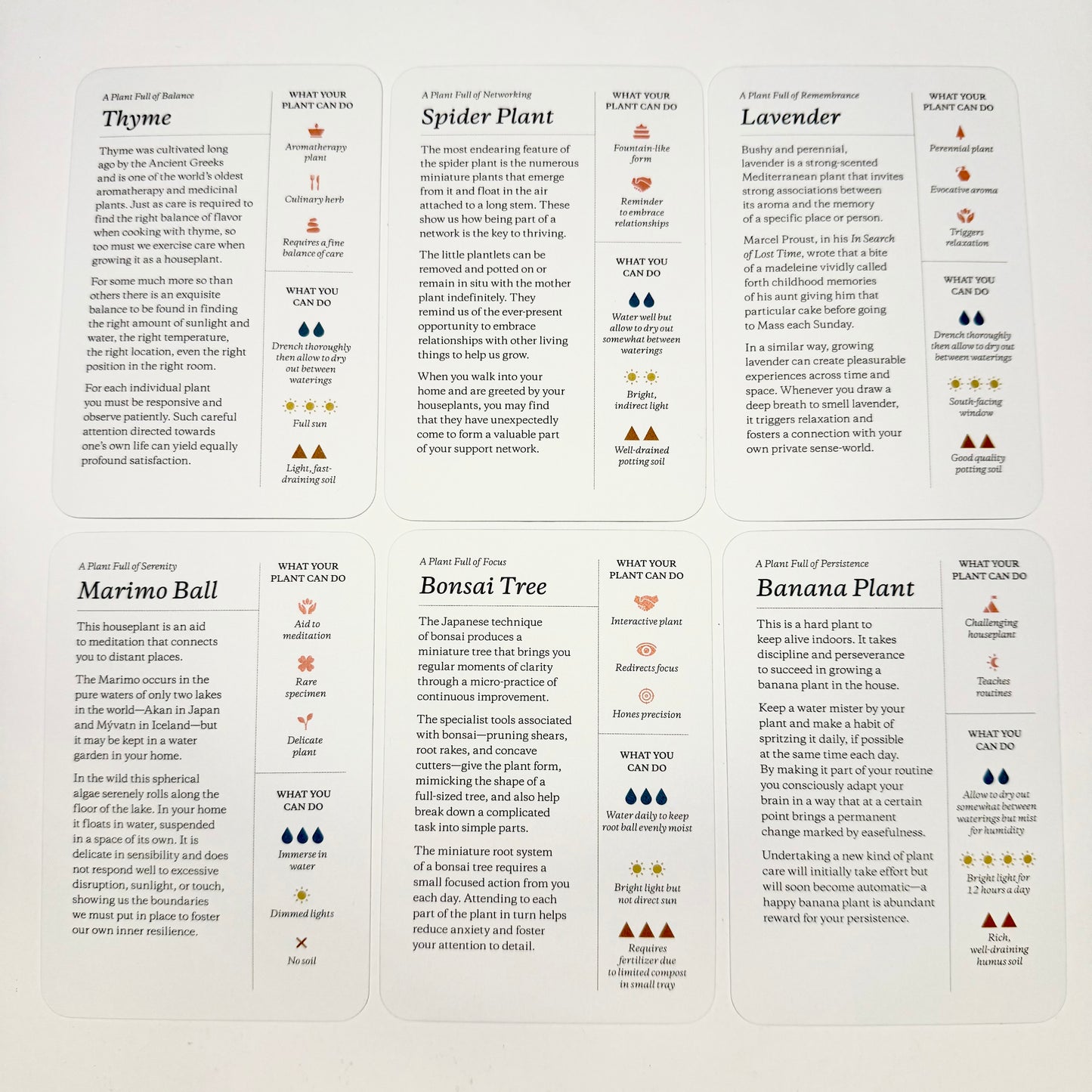 Plantfulness - How To Change Your Life With Plants Card Deck