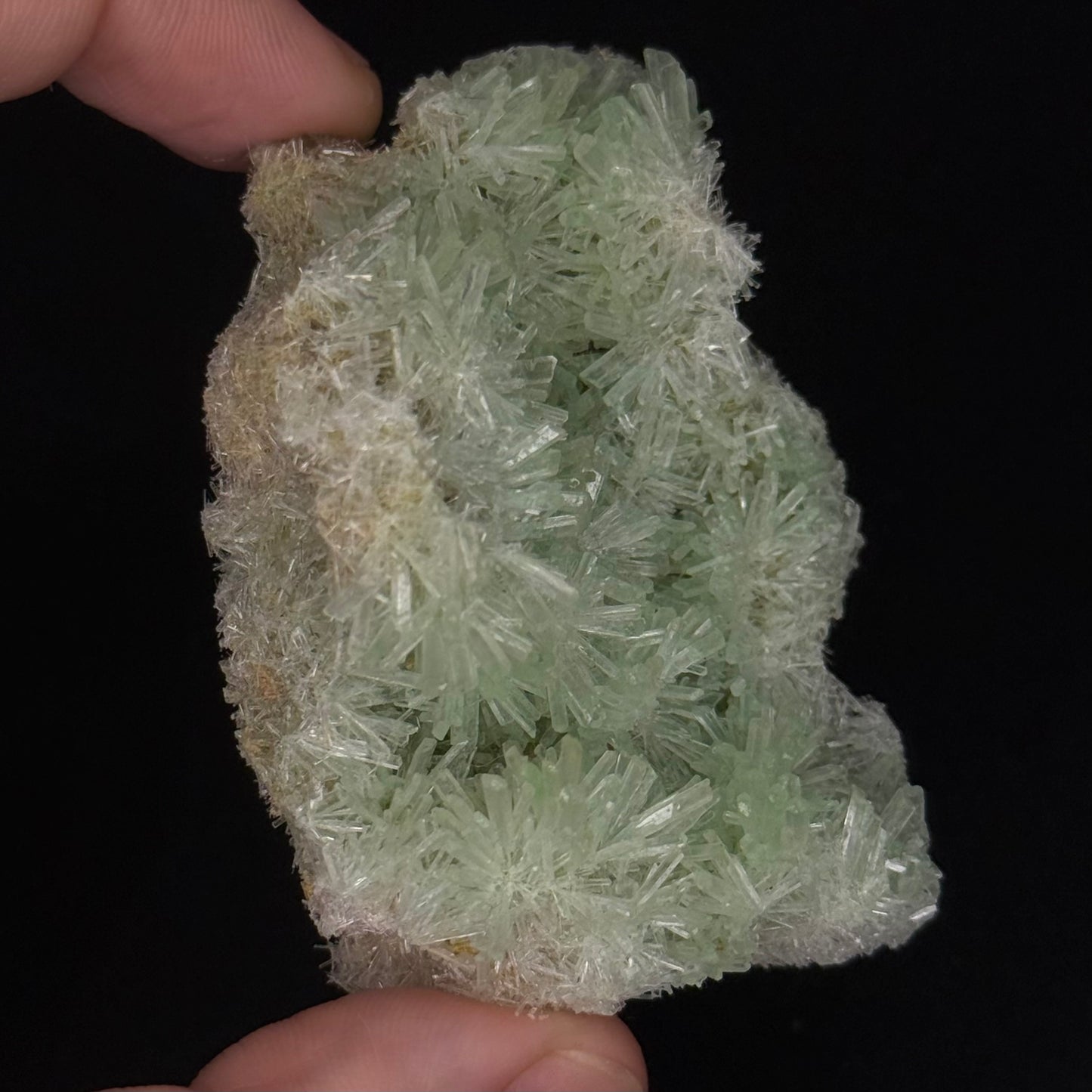 Green Gypsum