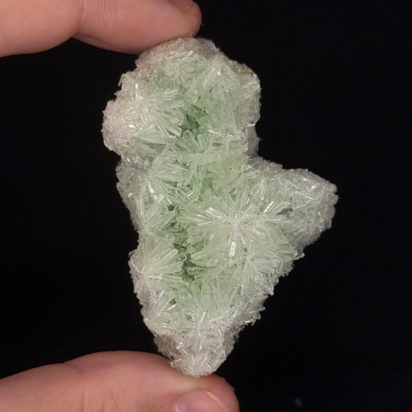 Green Gypsum