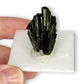 Epidote