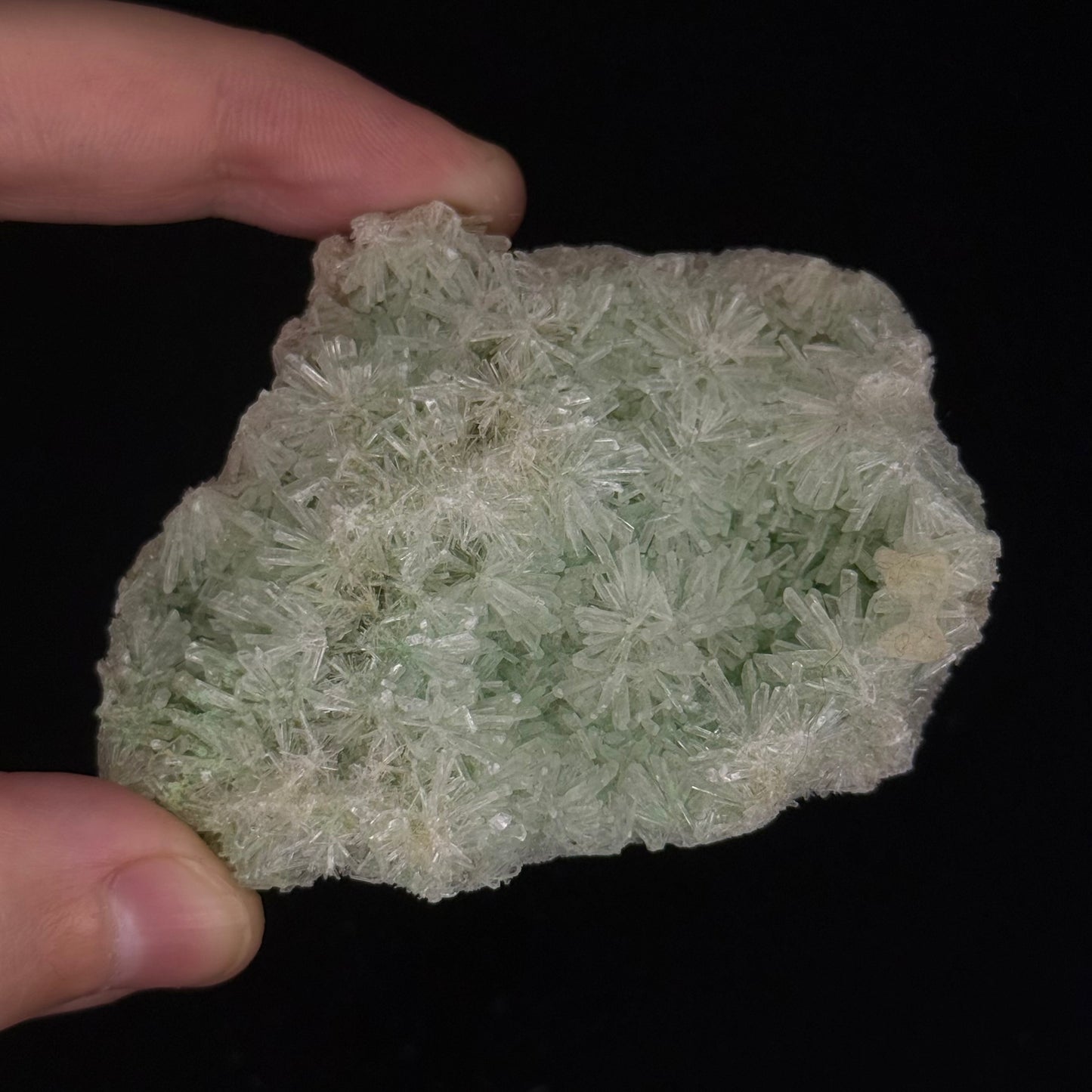 Green Gypsum
