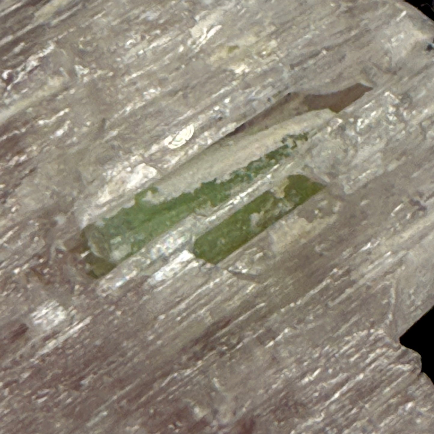 Kunzite with green tourmaline