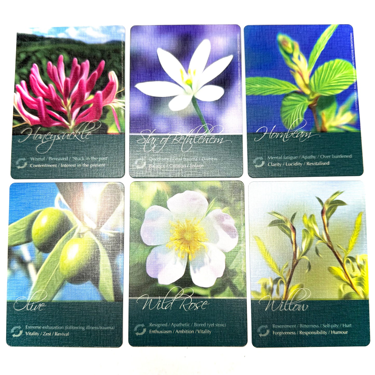 Bach Flower Divination Card Deck