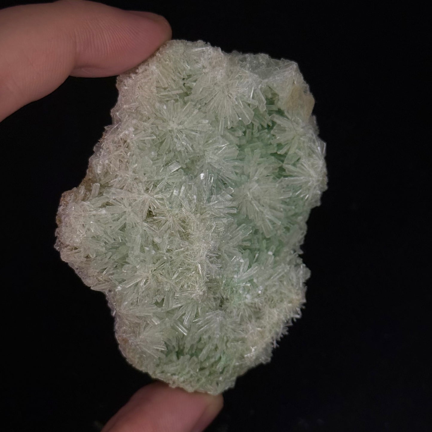 Green Gypsum