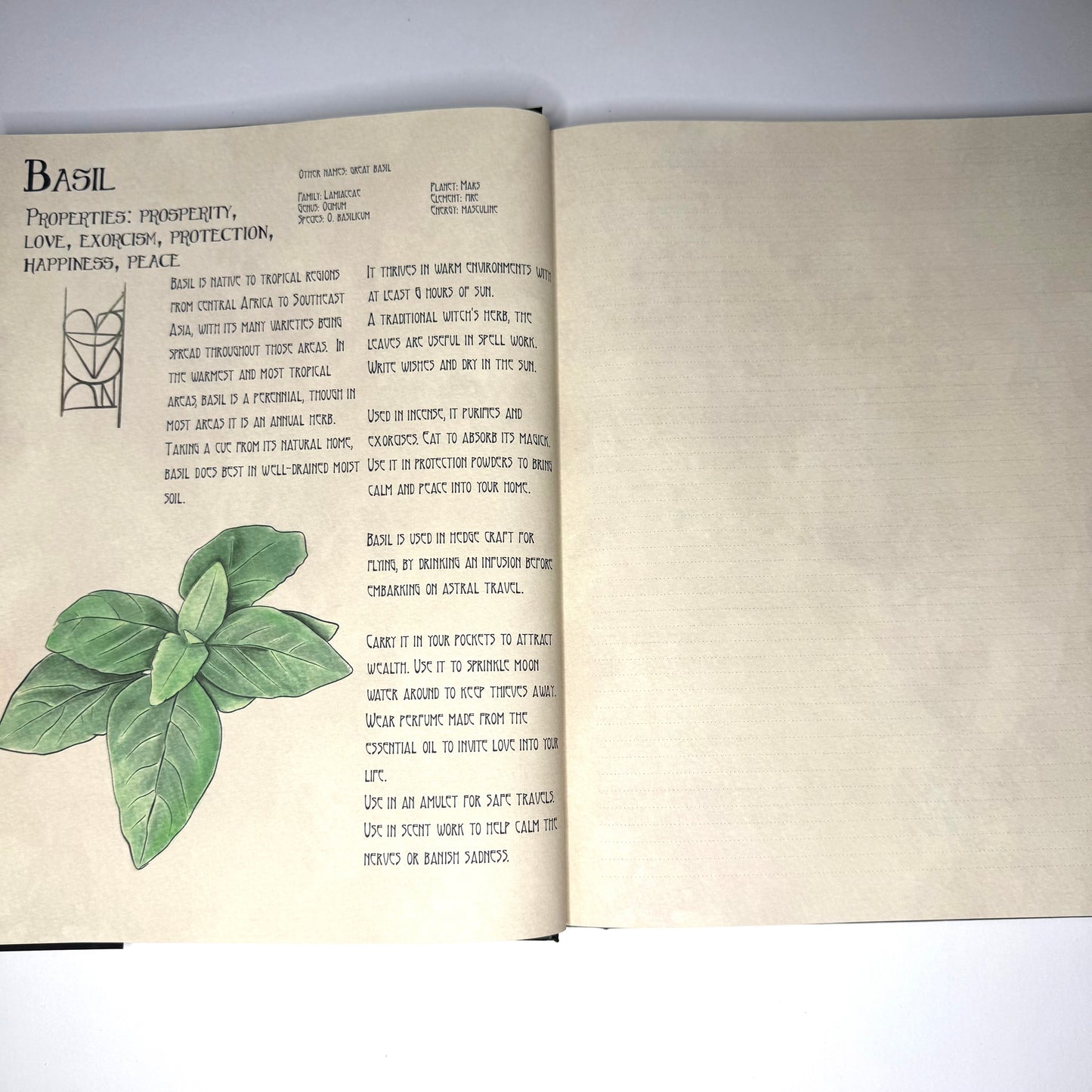 The Likely Herbarium Grimoire